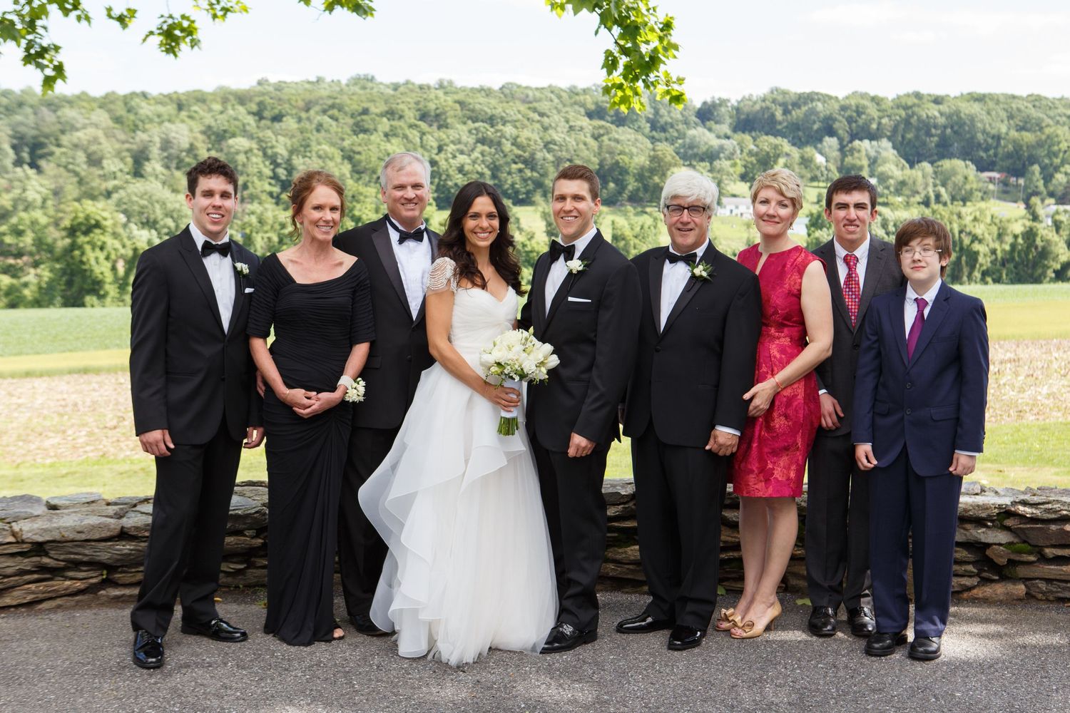 Wedding party poses together outdoors on scenic stone wall with green rolling hills and forest in background.