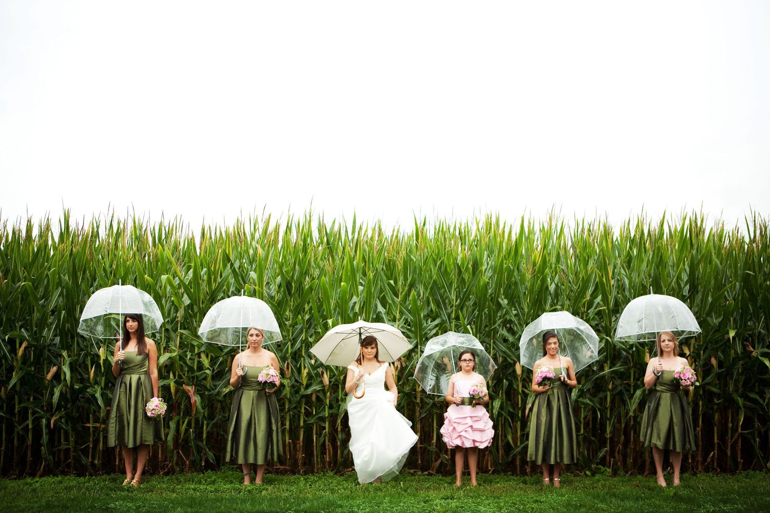 A bridal party holding white umbrellas poses against a tall cornfield background during a summer wedding shoot.