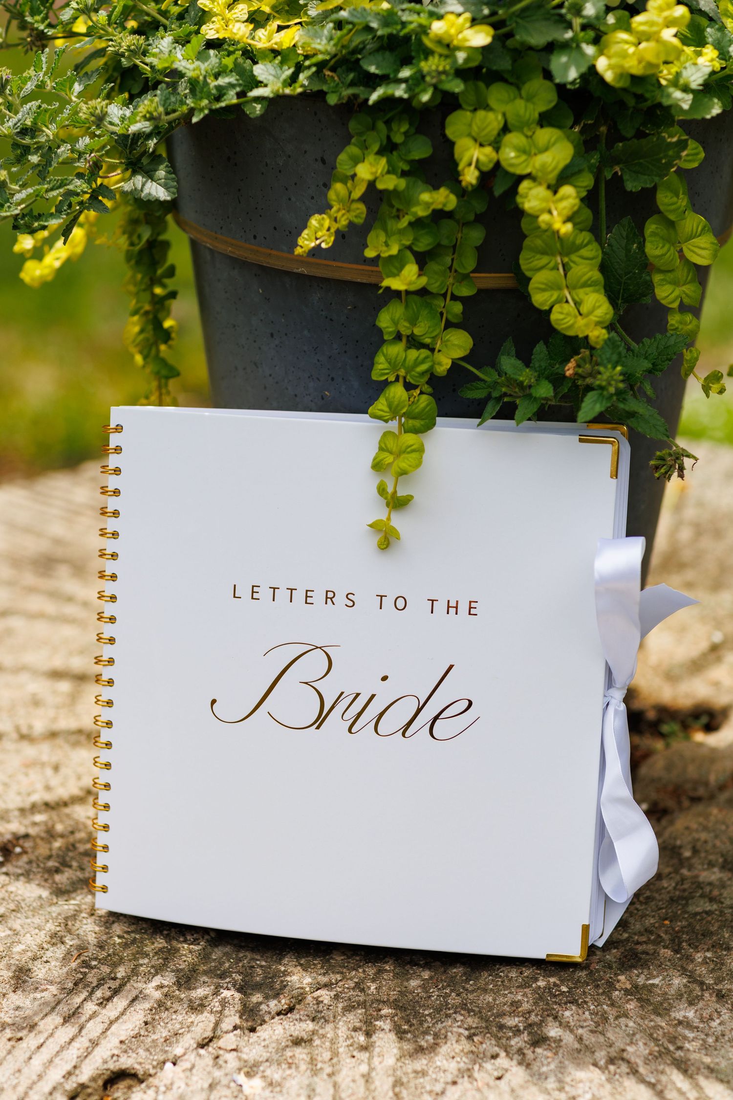 White spiral-bound Letters to the Bride journal leaning against a green potted plant outdoors.