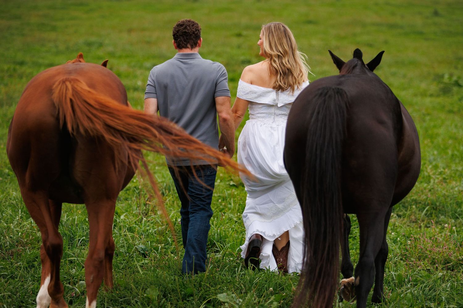 Couple in casual and white dress walking with brown and black horses across a lush green field.