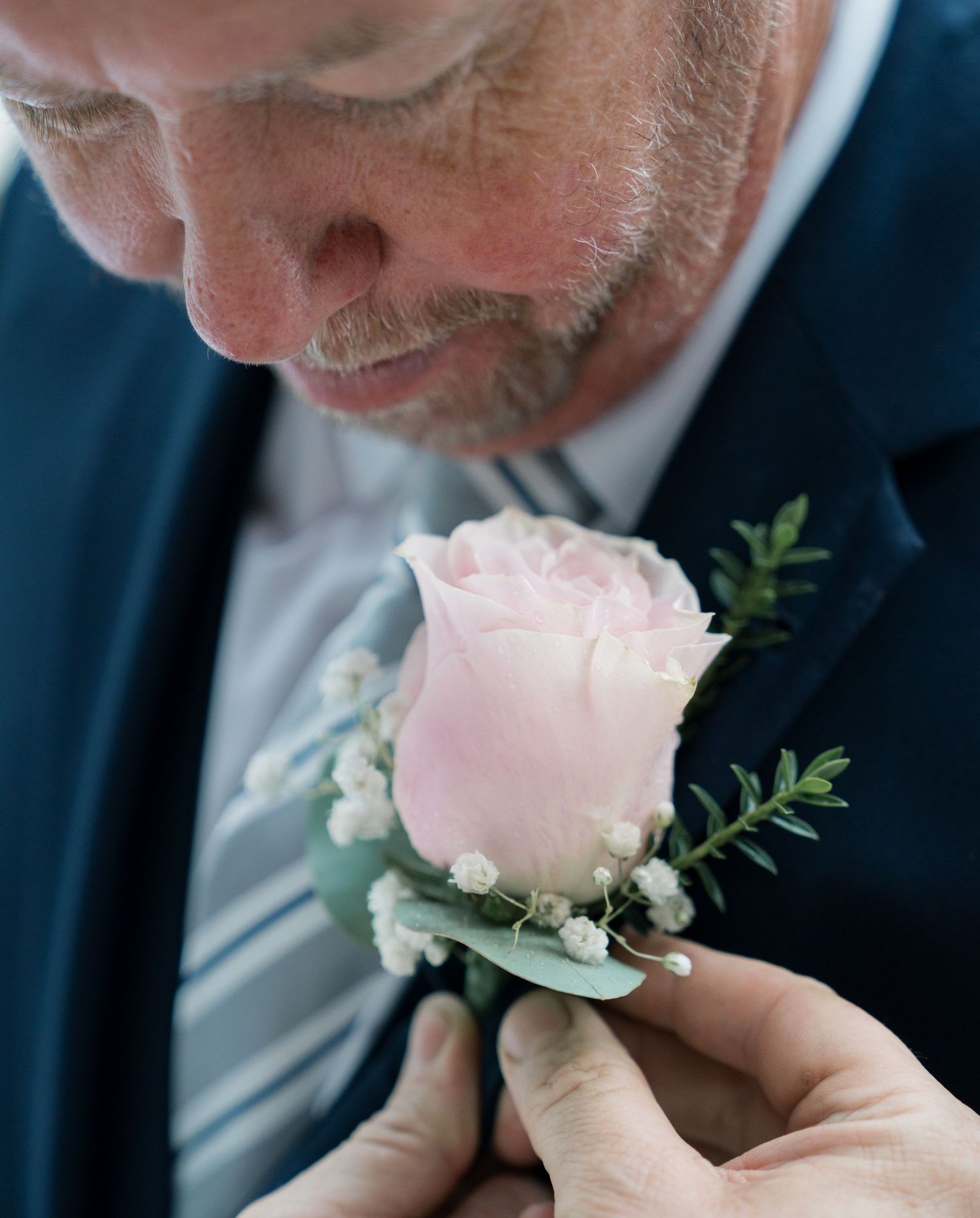 Close-up detail shot of a pink rose boutonniere being pinned to a navy suit jacket.