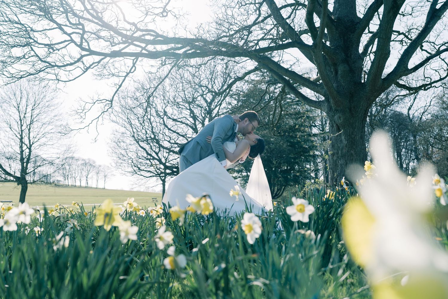 Delicate white daffodils bloom in a garden against a backdrop of bare winter trees and cloudy skies.
