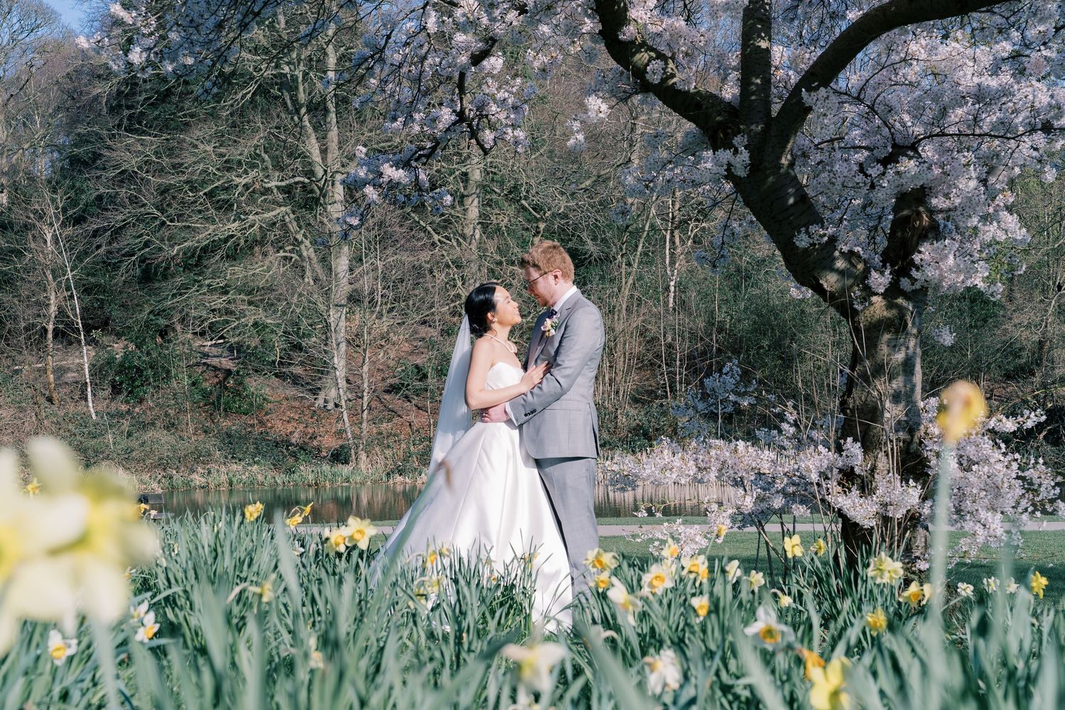 Spring garden wedding photo with daffodils blooming under cherry blossom tree.