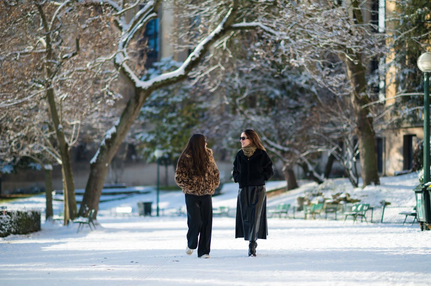 People walking through a snowy winter park with bare trees and white ground creating a peaceful winter scene.