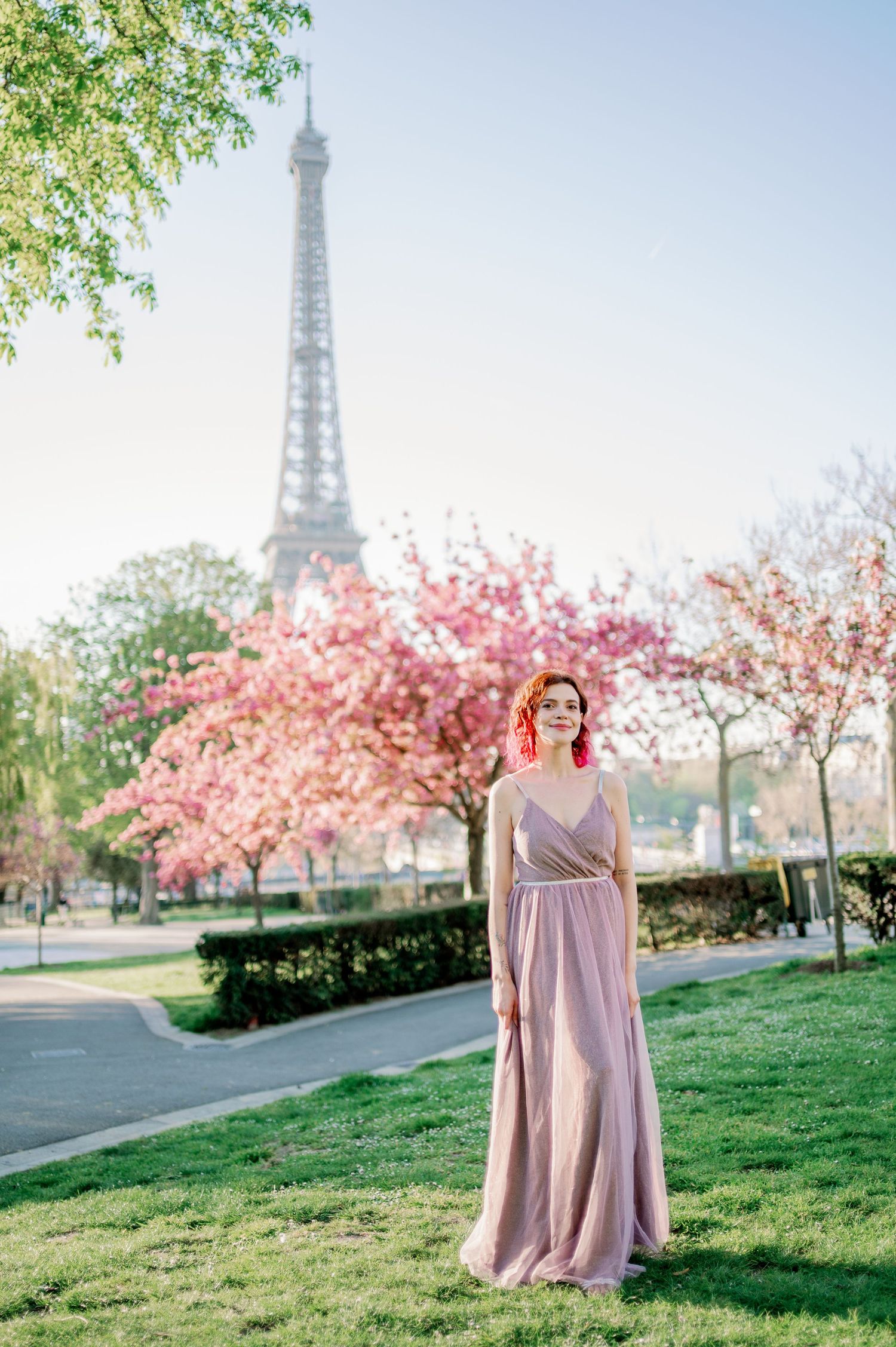 A pink cherry blossom tree blooms near the iconic Eiffel Tower in Paris during springtime.