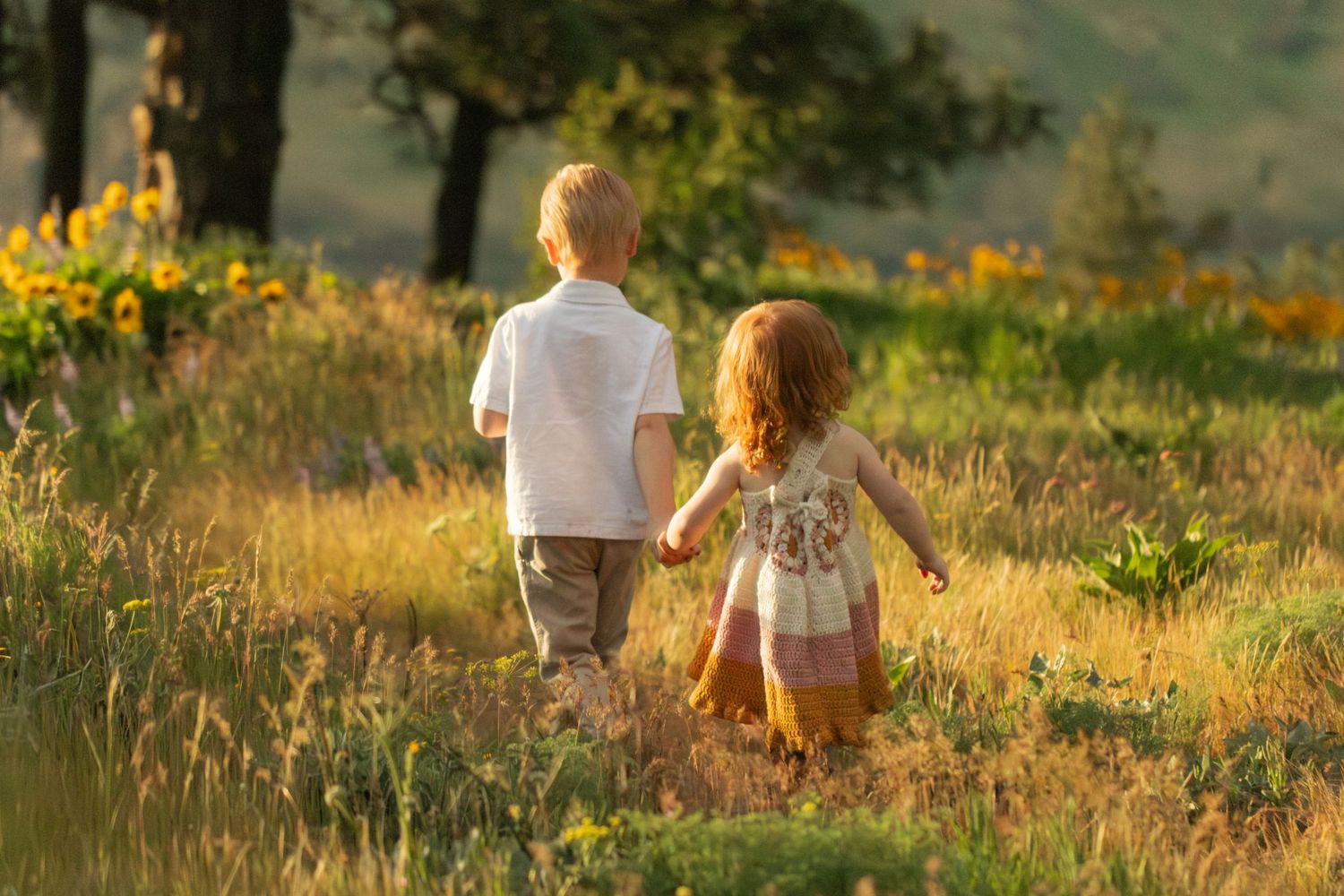 Two young children holding hands walking through a sunny meadow with wildflowers and trees in golden afternoon light.