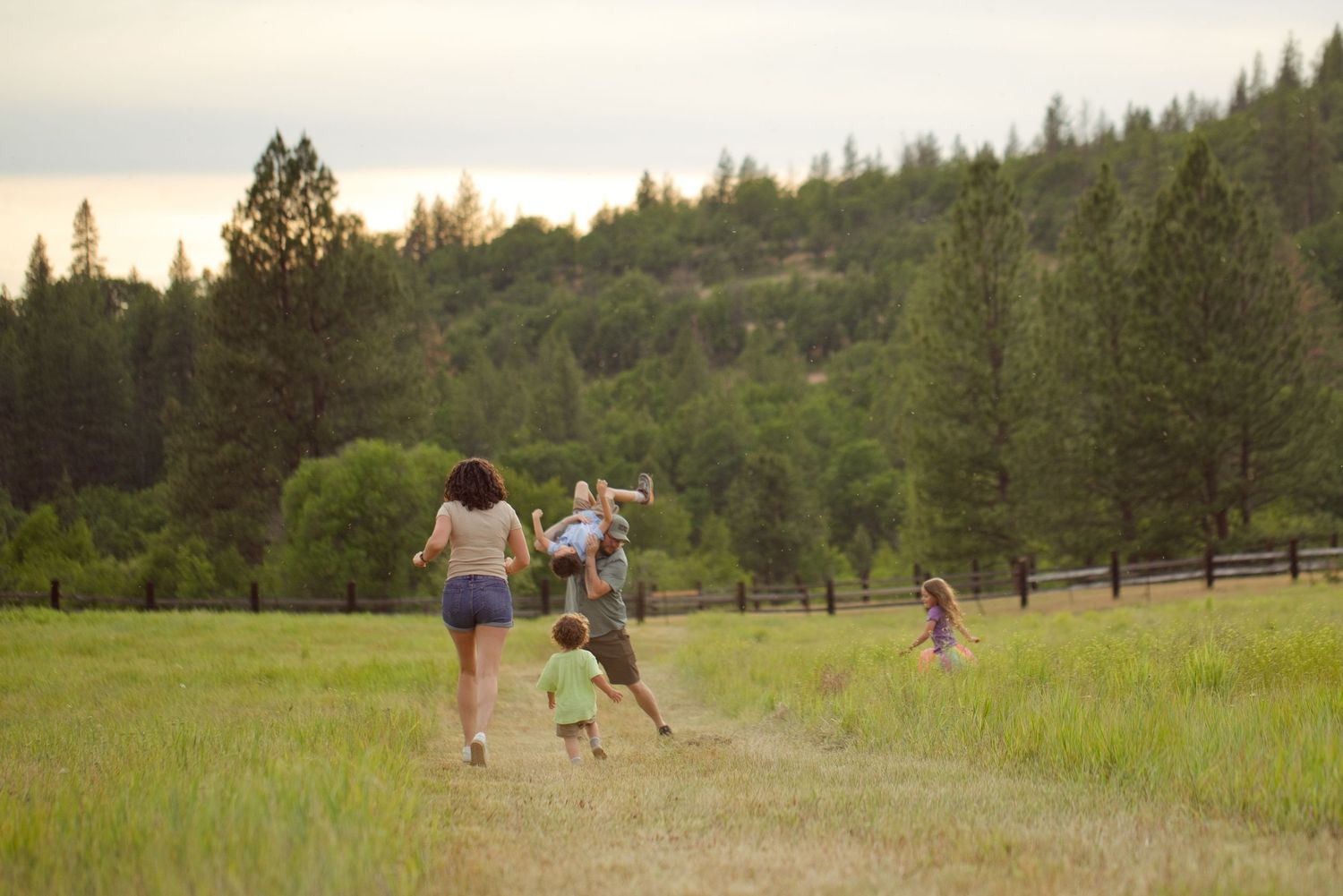 Family running together on a scenic meadow path surrounded by tall pine trees at sunset.