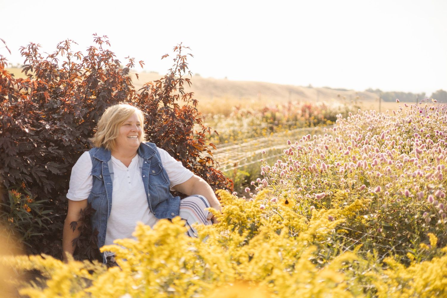 Expansive field of wildflowers during golden hour with warm sunlight.
