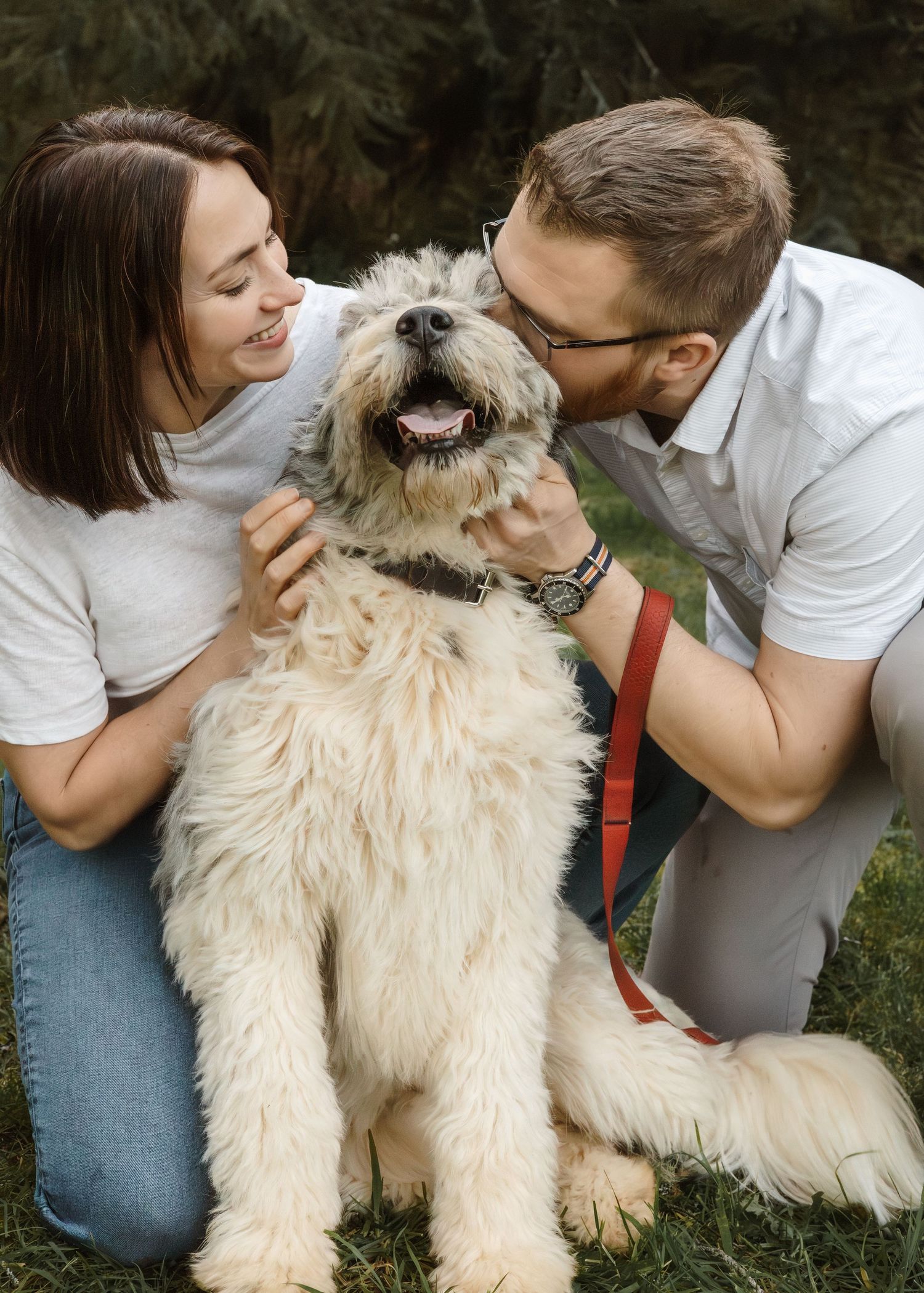 Large fluffy white dog receives affection from family members in outdoor setting.