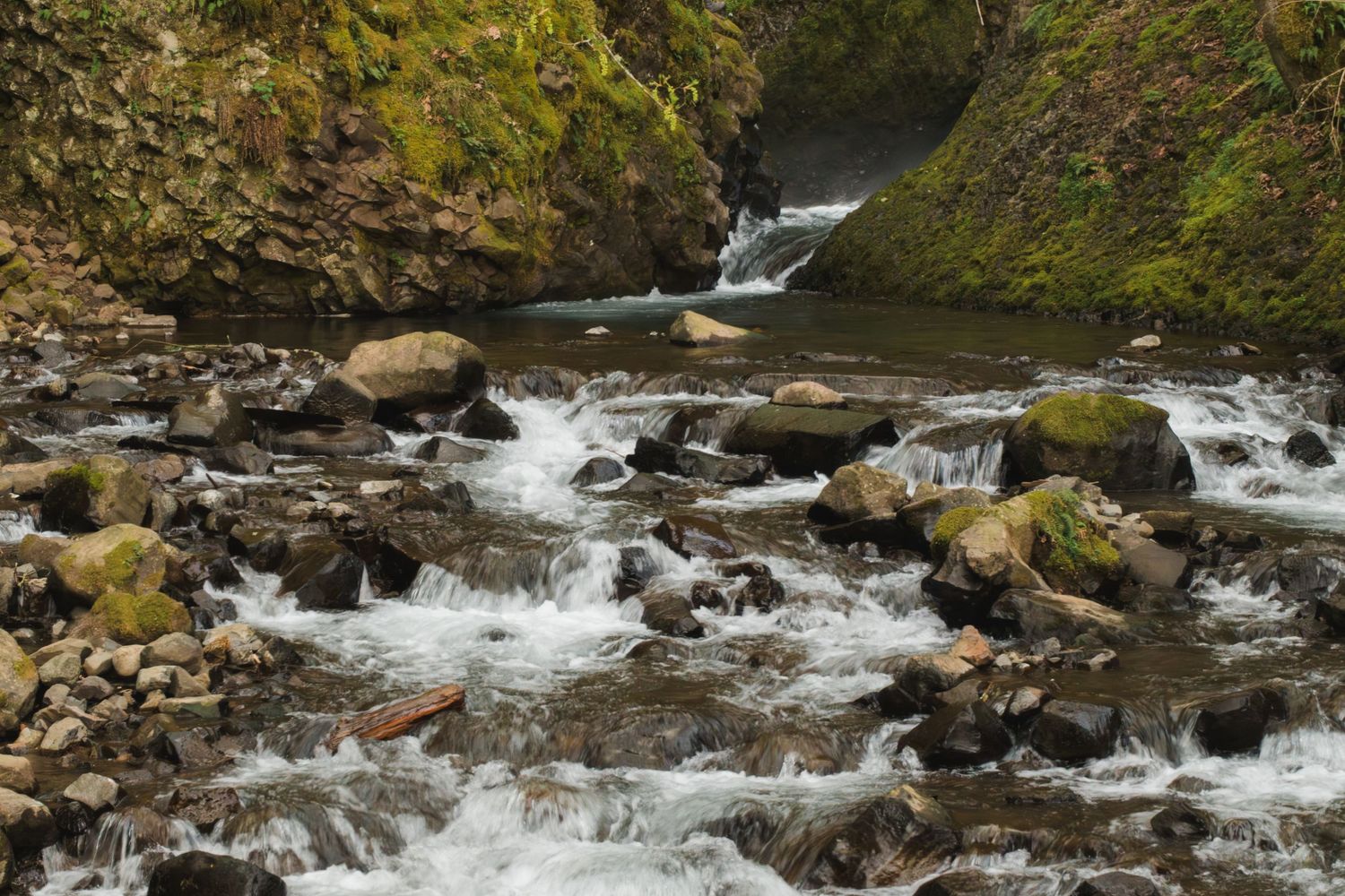 Rocky mountain stream with cascading white water rapids flowing over moss-covered boulders through a lush green canyon.