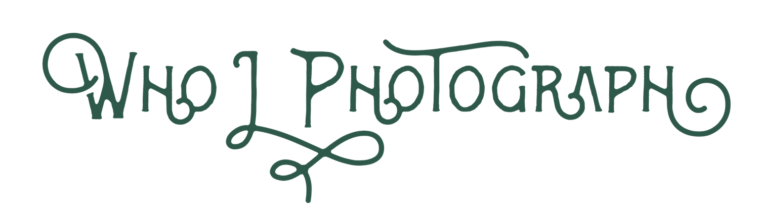 Decorative calligraphy text reading 'Who I Photograph' in green ink.