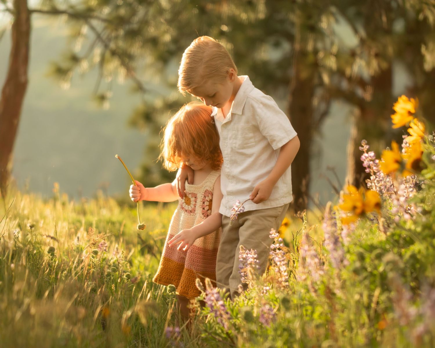 Two young children share a tender moment in a sunlit meadow surrounded by wildflowers and golden light.