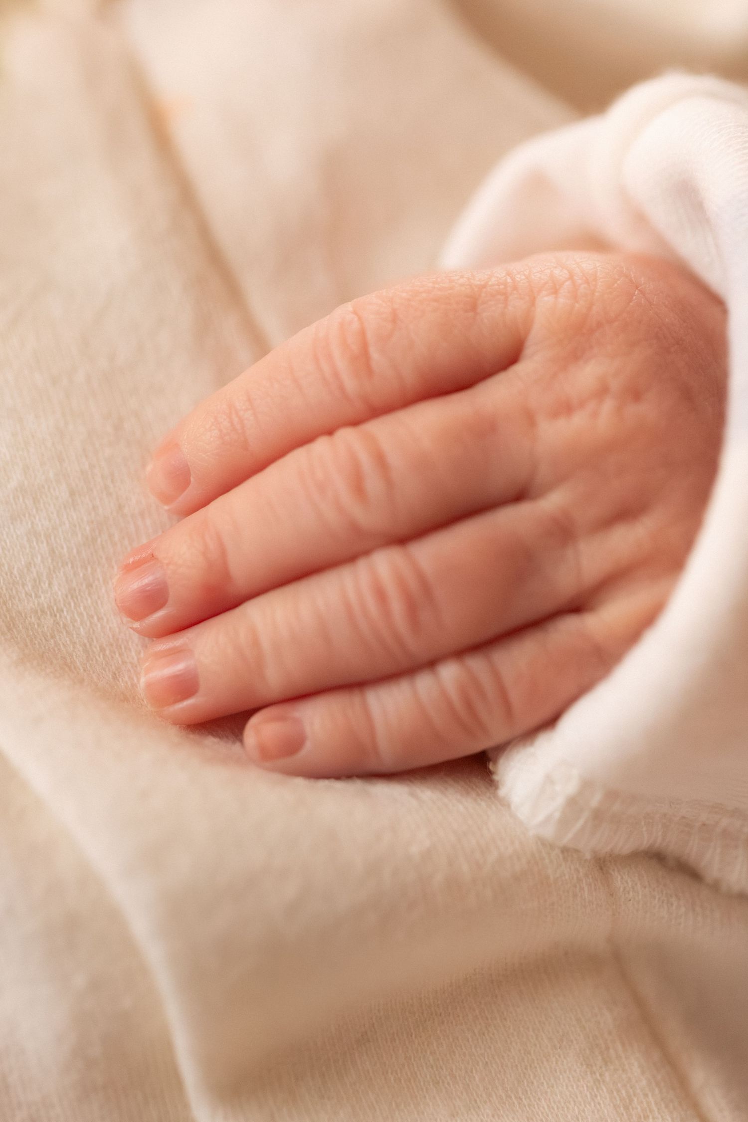 Close-up of a newborn baby's tiny hand with delicate fingers resting on a soft cream blanket.