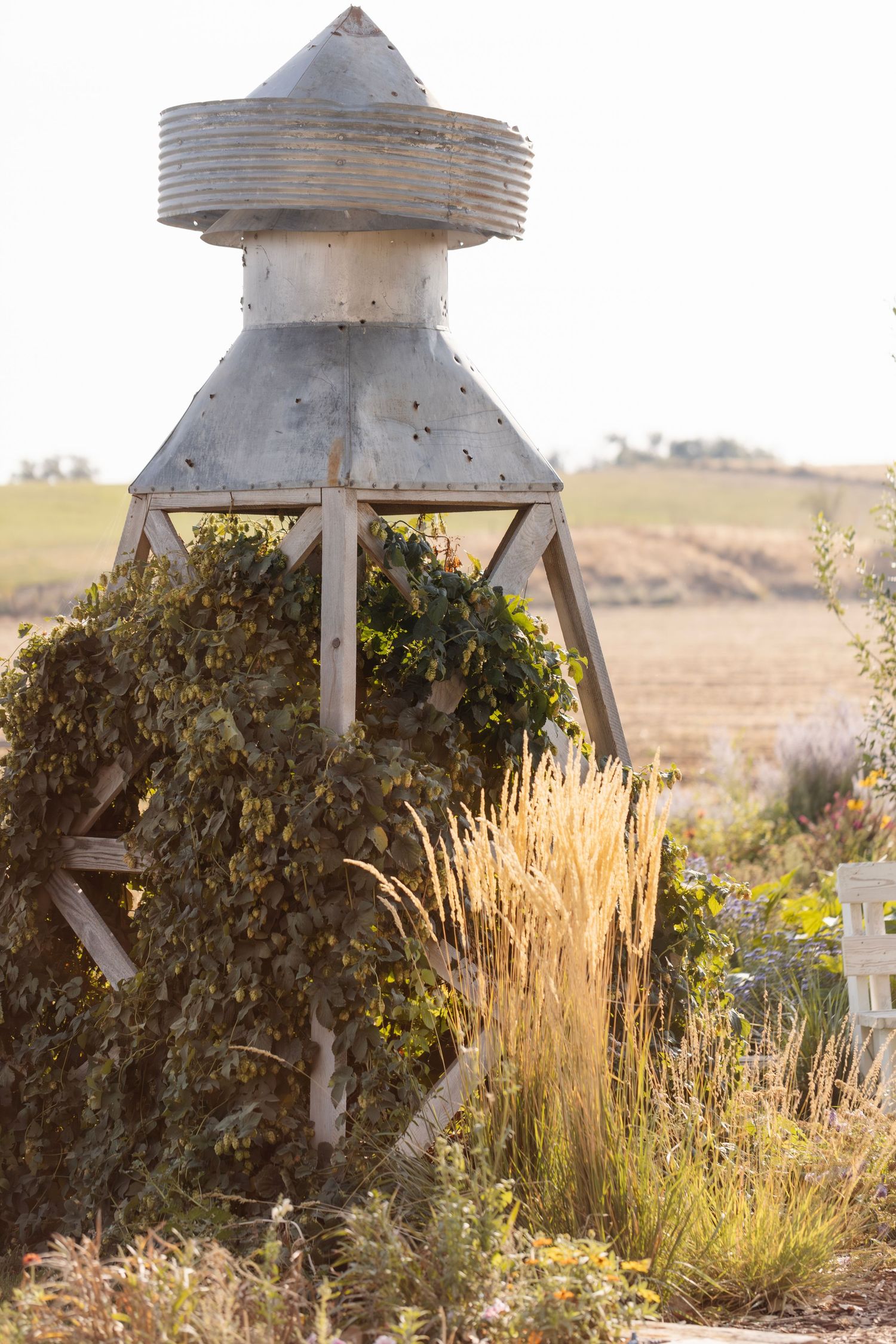 Weathered wooden structure surrounded by tall golden grasses in a rural landscape.
