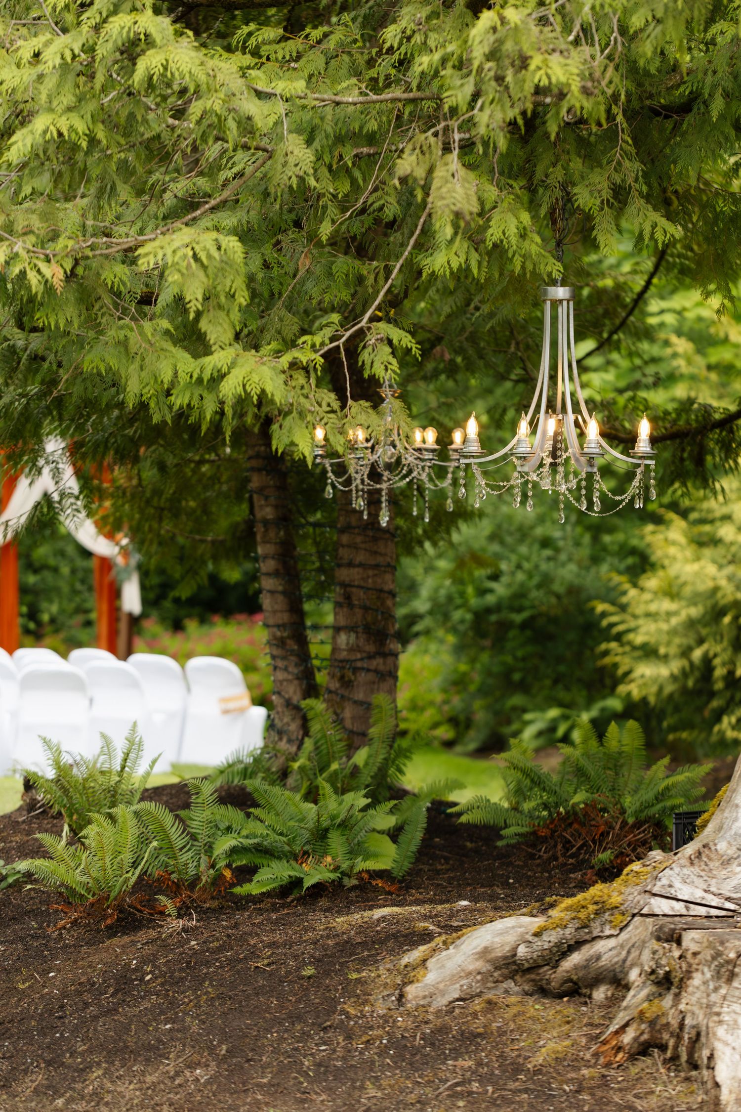 Elegant crystal chandeliers hang from tree branches in an outdoor garden setting creating a romantic woodland atmosphere.