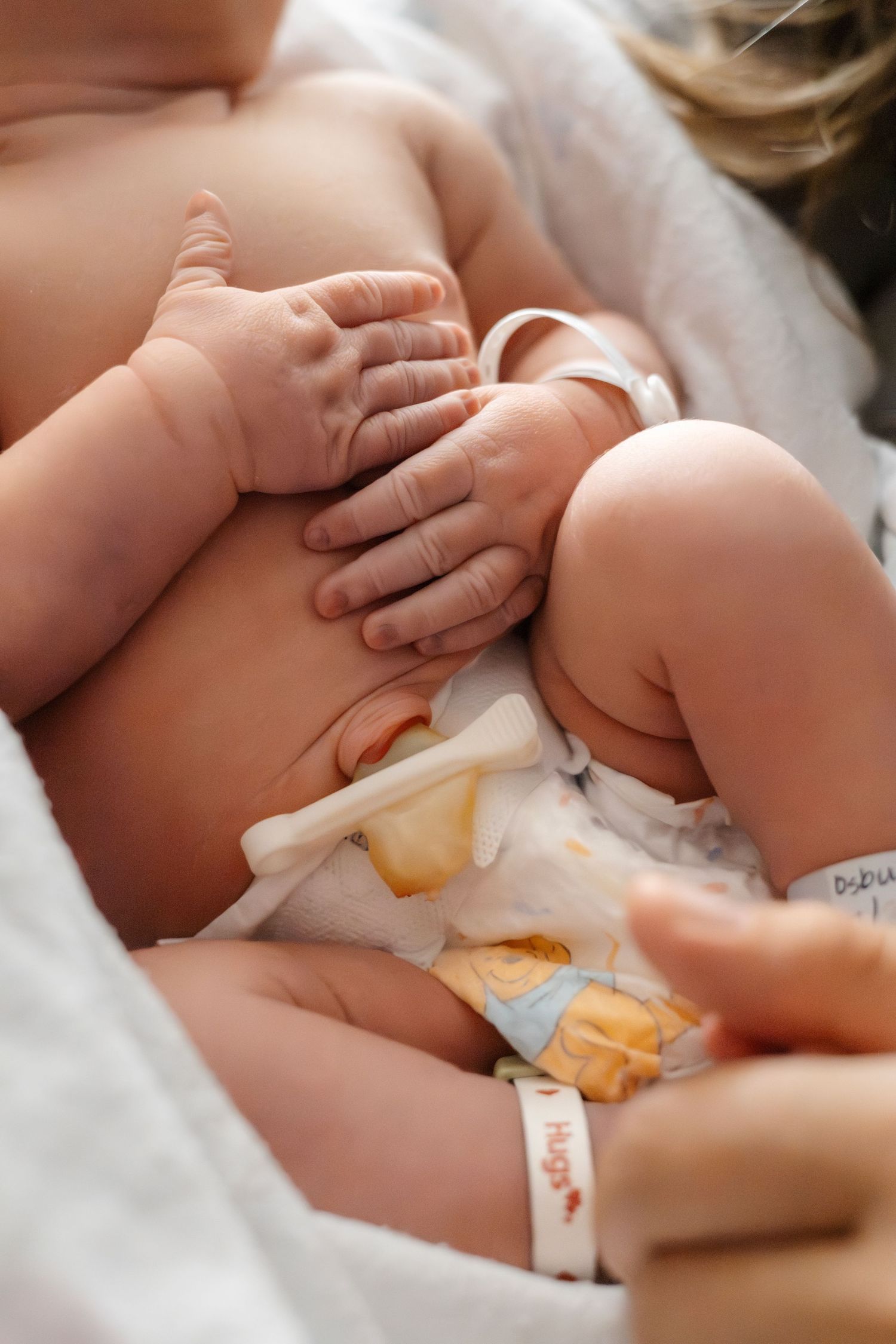 Close-up of newborn baby's hands and hospital identification bracelet.