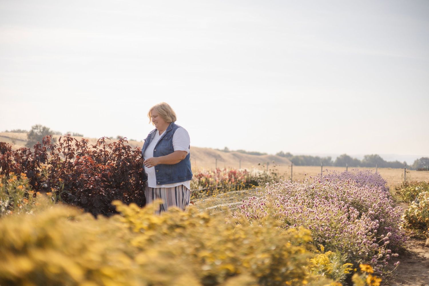 Scenic autumn field with golden flowers stretching to the horizon.