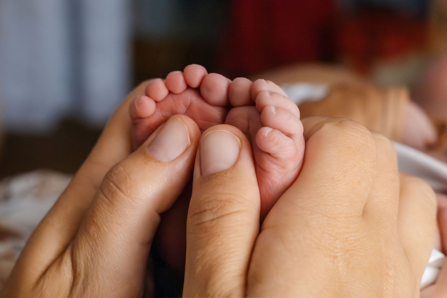 Close-up of tiny newborn baby feet being gently held by adult hands.