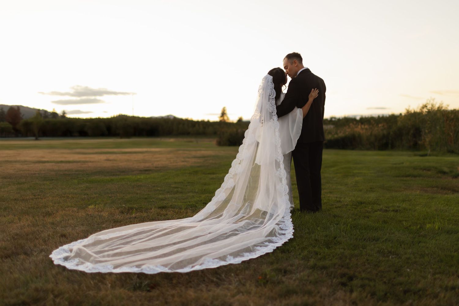 A long flowing wedding veil trails behind a couple standing in a golden sunset-lit field.