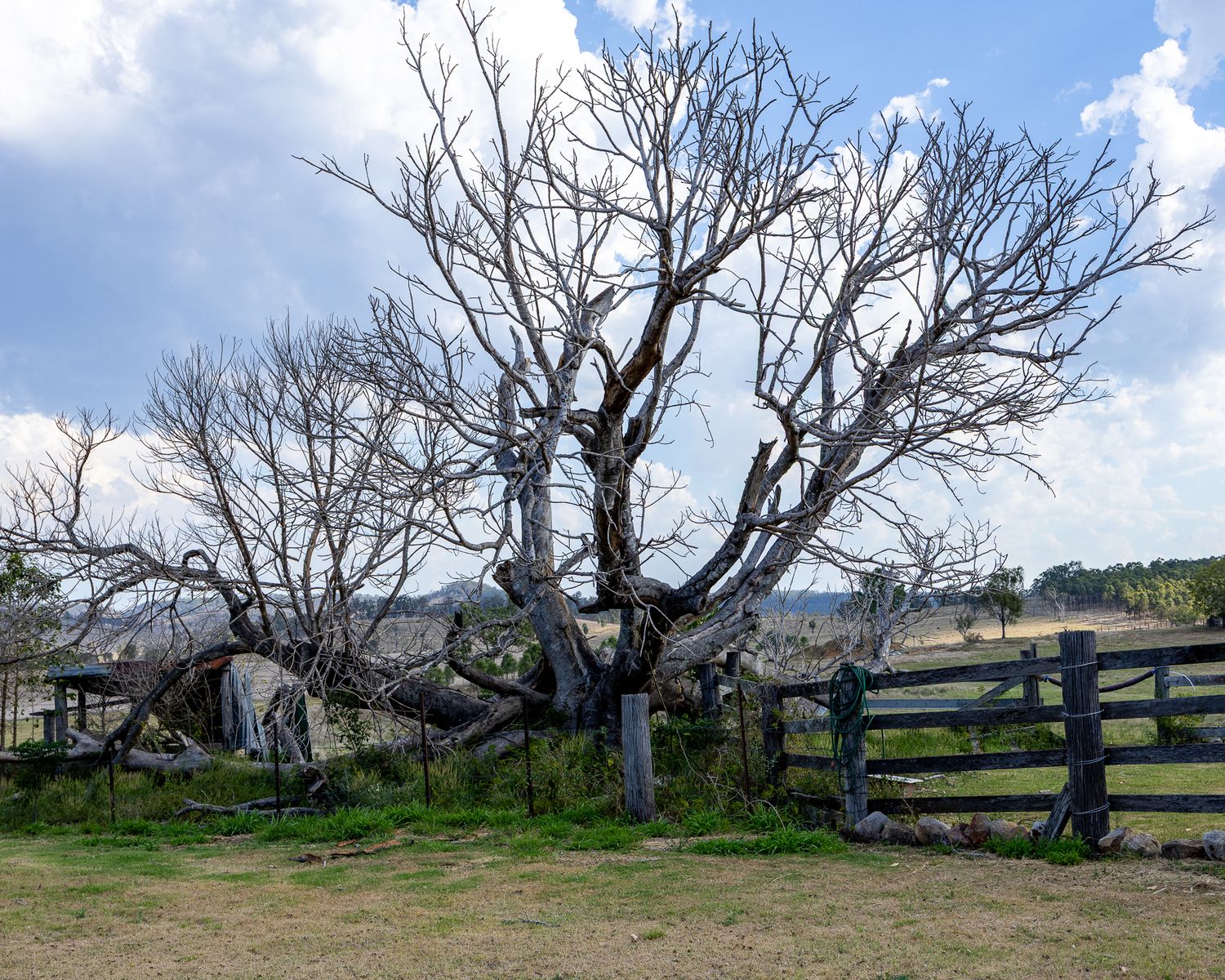 Country Vista