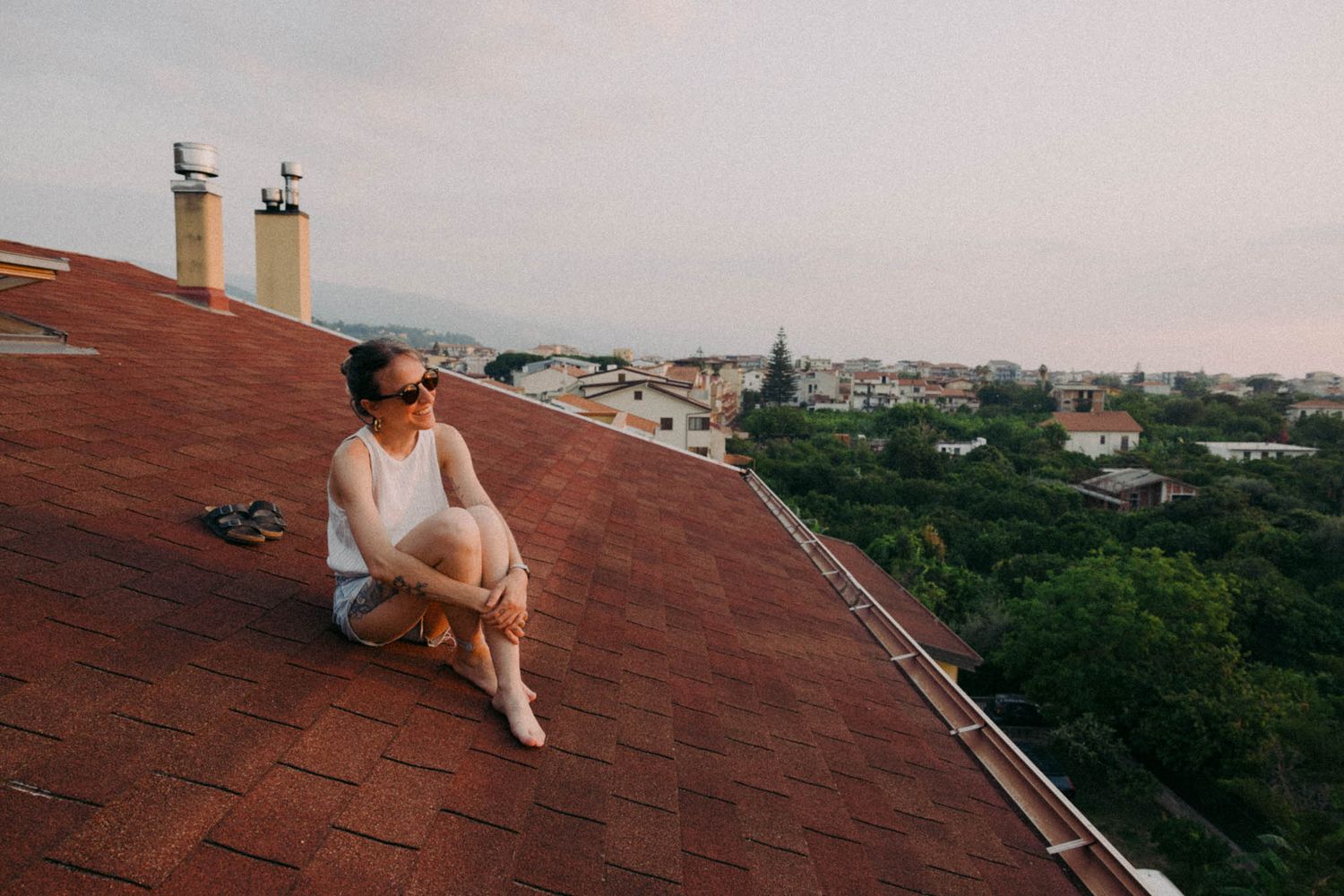 Two seagulls perched on a rooftop with city buildings and greenery visible in the background.