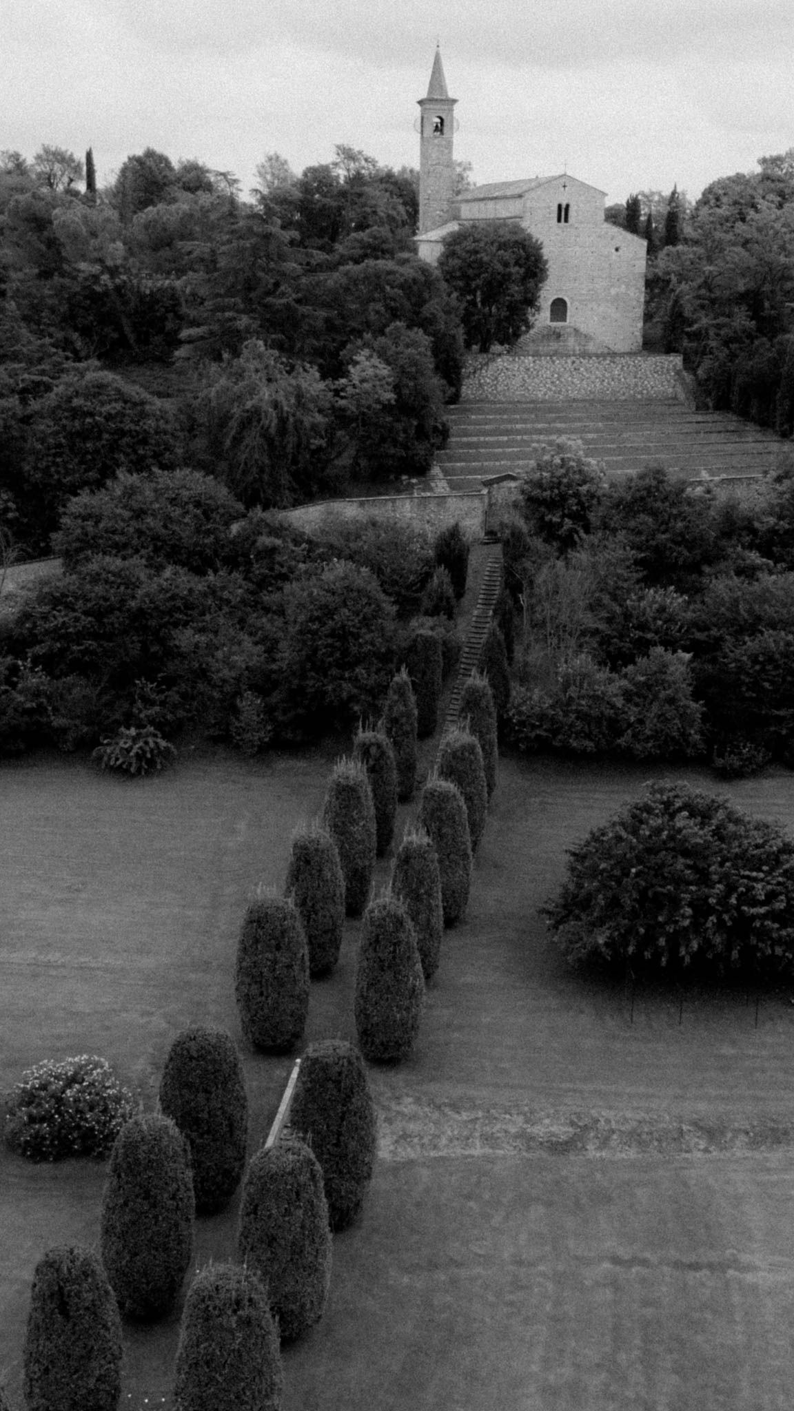 A black and white landscape view shows rows of conical topiary bushes leading to a church steeple in the distance.