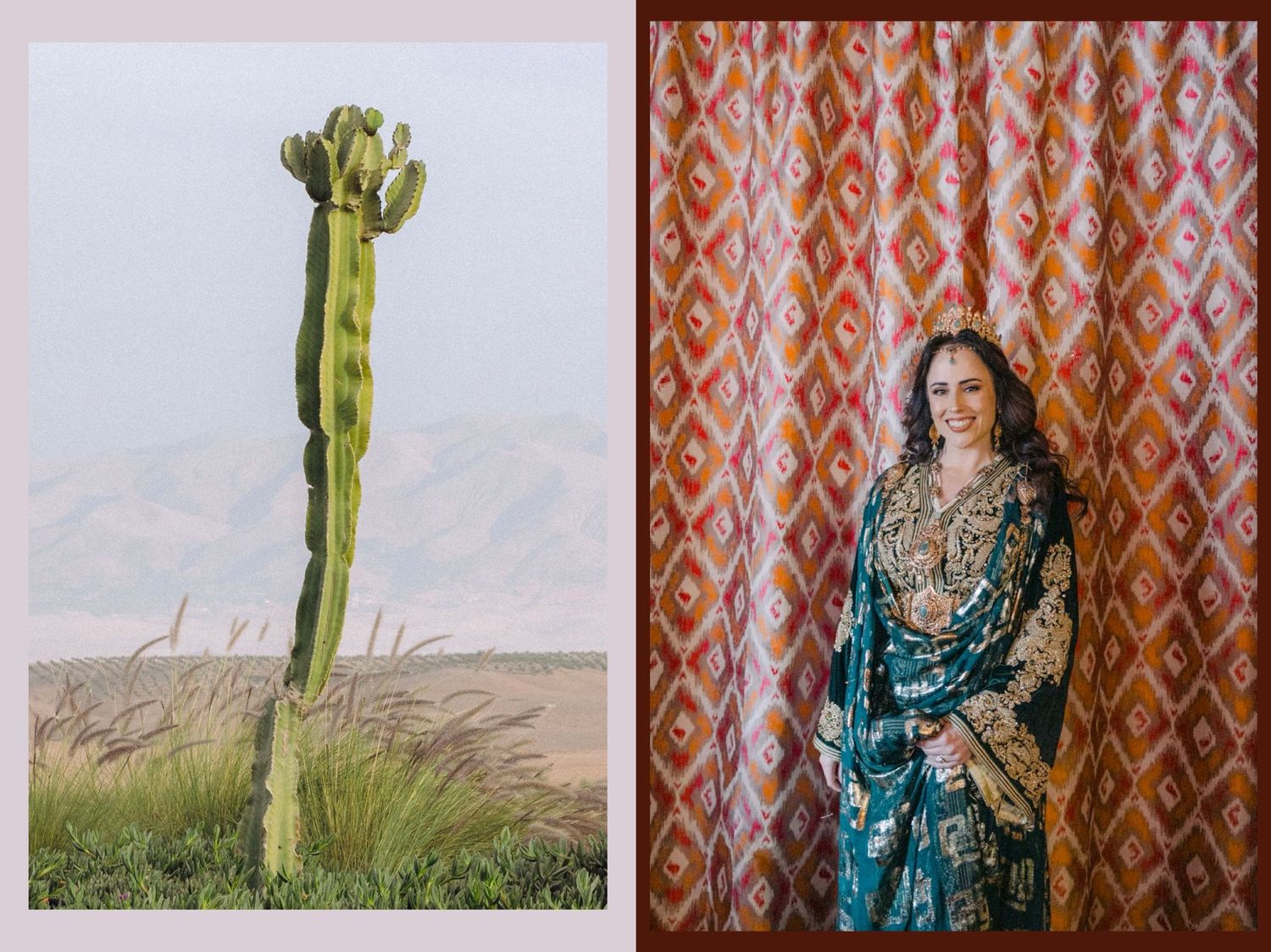 Desert landscape with saguaro cactus and patterned curtain panels in sequence.