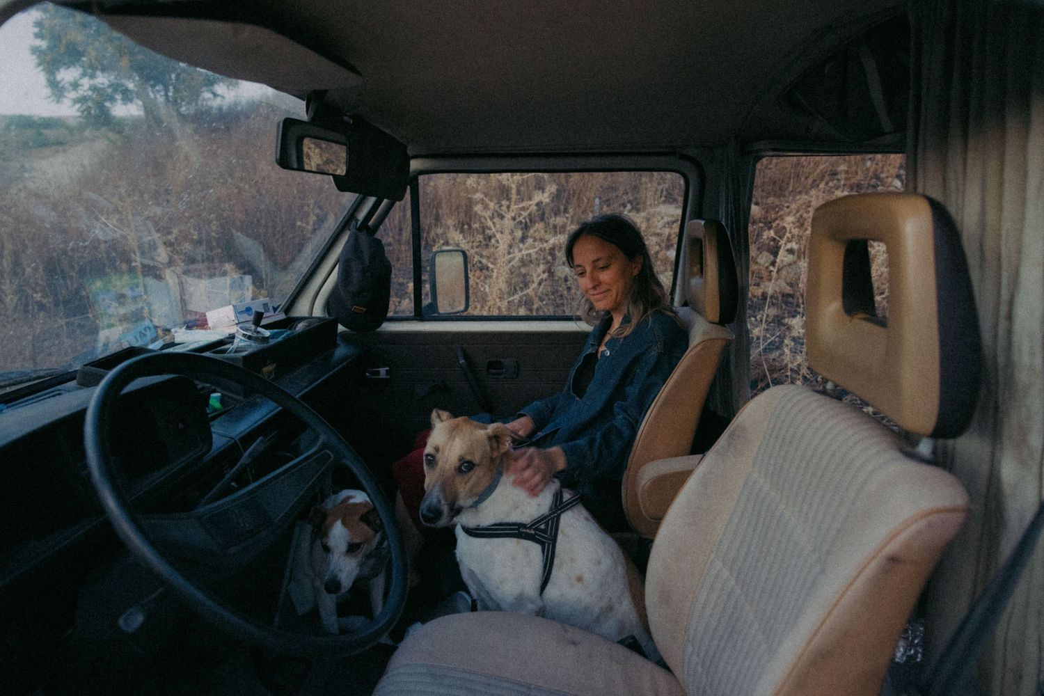 A series of interior vehicle shots showing a dog sitting in the passenger seat while driving through snowy landscapes.