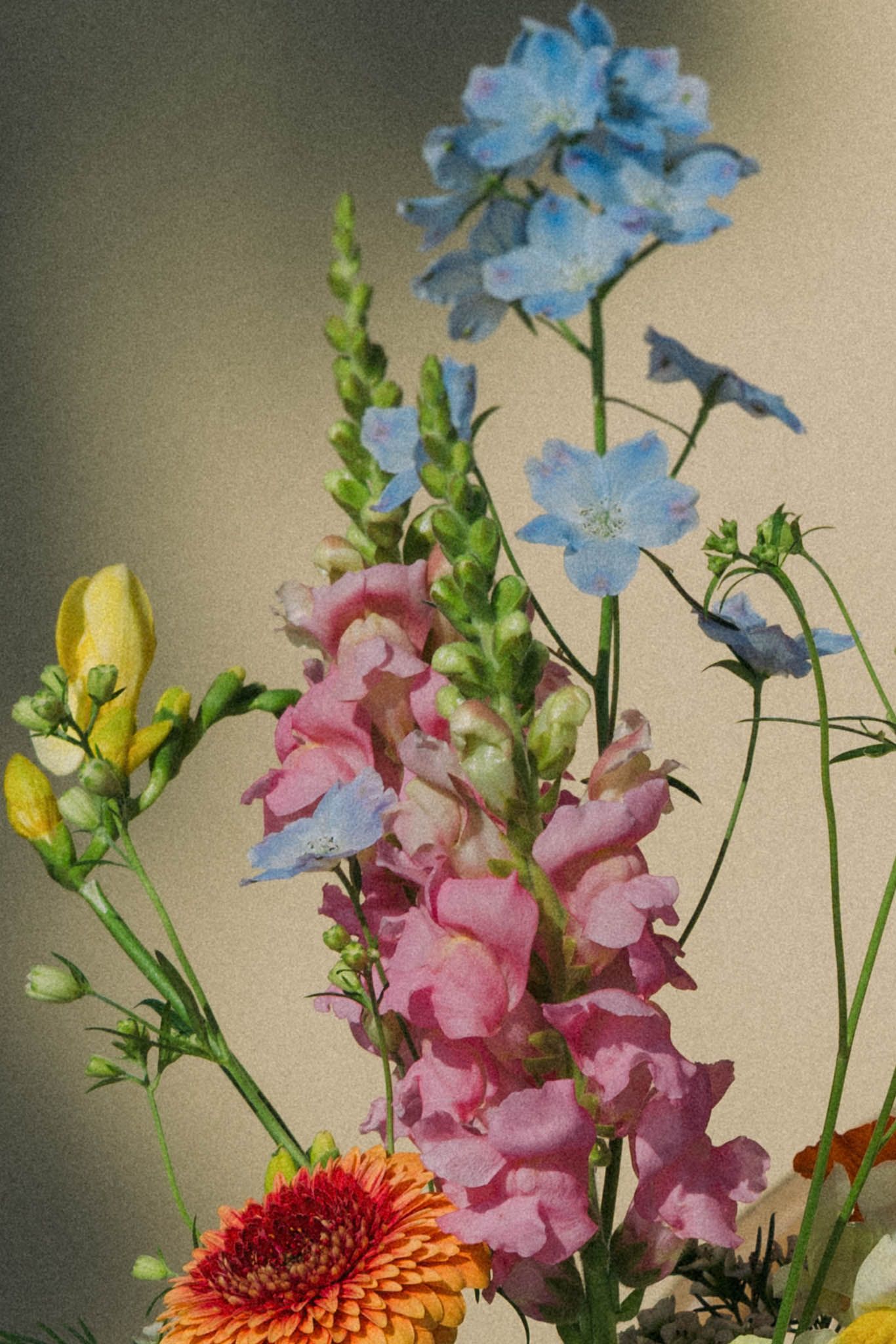A vibrant floral arrangement featuring blue delphinium, pink snapdragons, and an orange gerbera daisy against a neutral background.