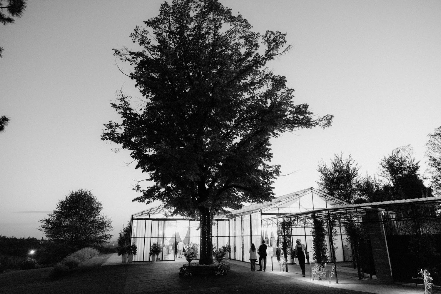 A black and white panoramic view shows silhouettes of trees and buildings against a stark sky.