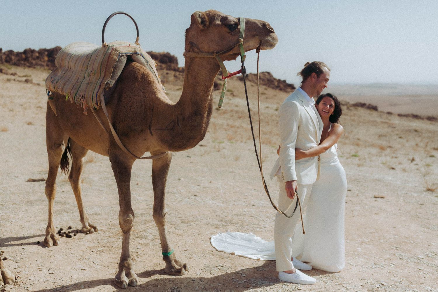 A person in white clothing milks a camel in a desert landscape with multiple camels in view.
