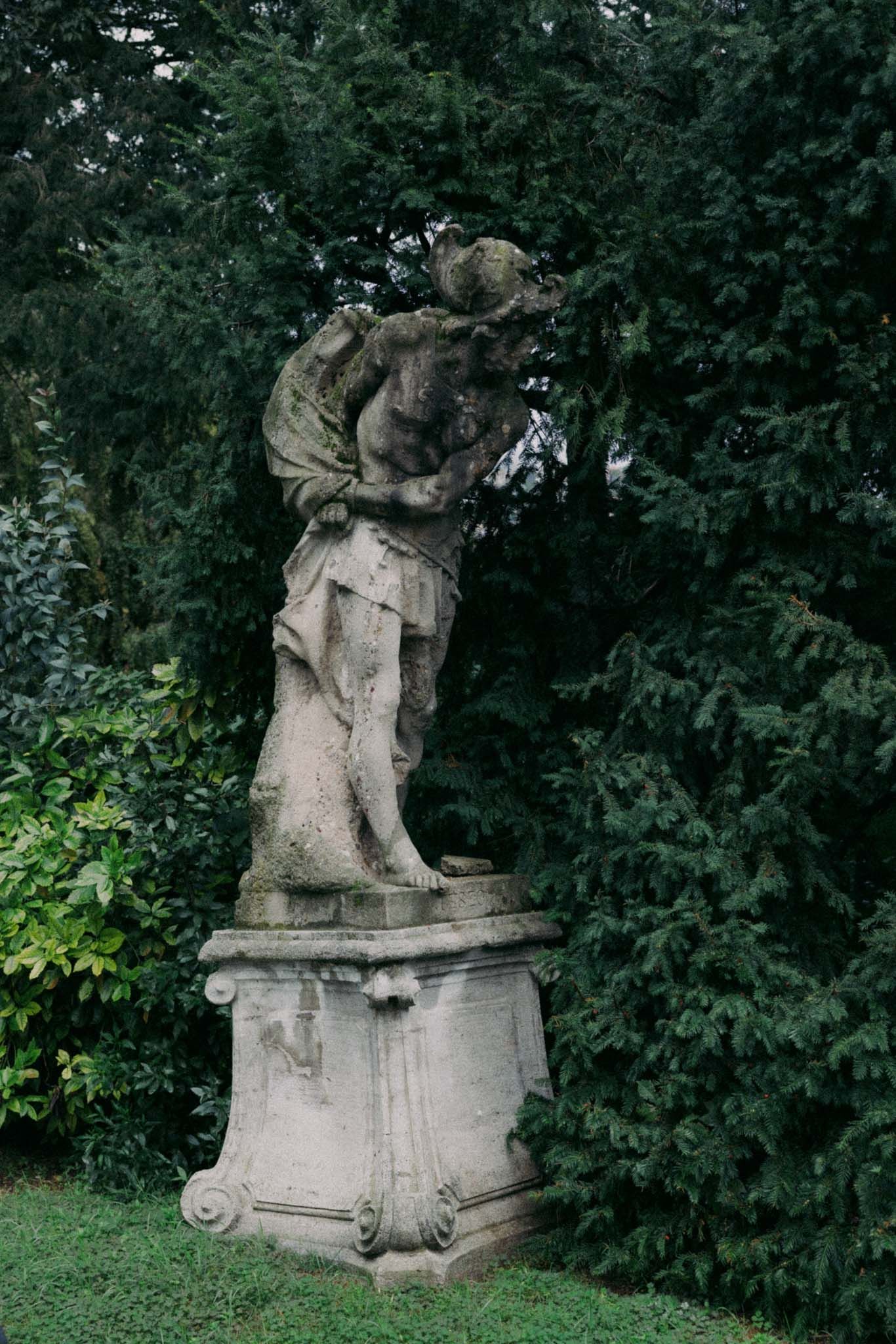 A weathered stone statue of an angel sits among lush green foliage in a garden setting.