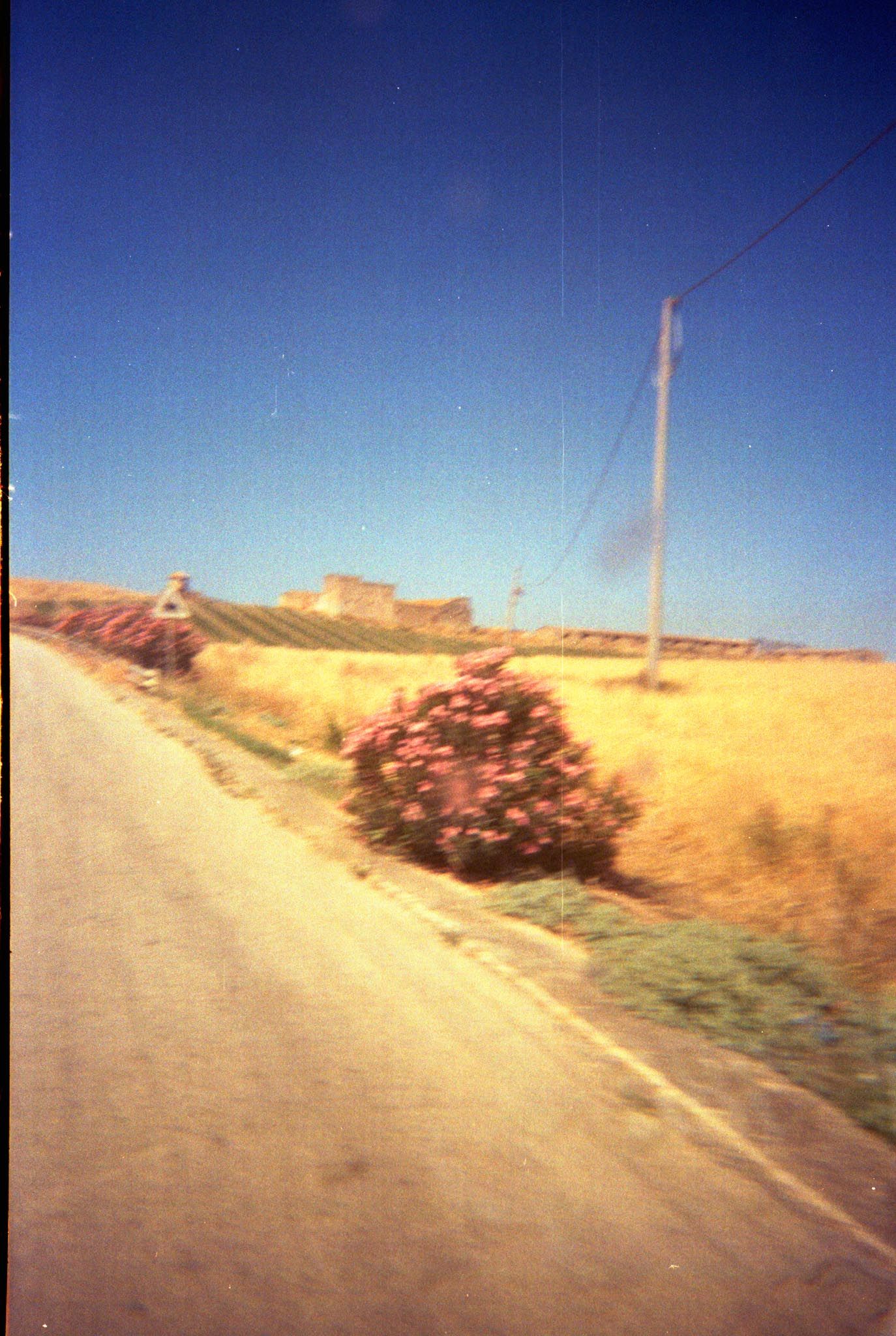 A dirt road winds through golden hills under bright blue sky with scattered bushes and utility poles along the path.
