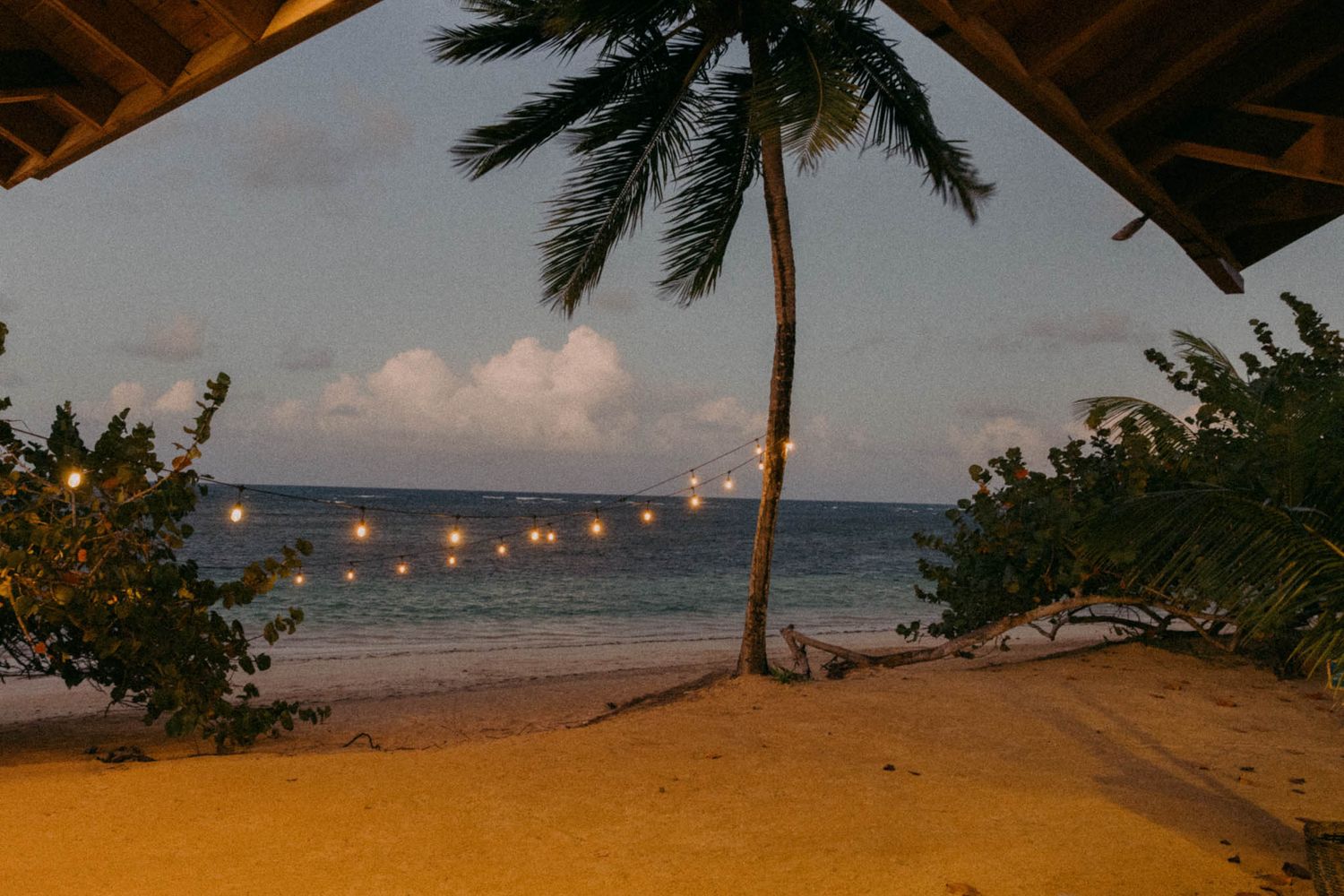 String lights illuminate a tropical beach at sunset with palm trees swaying against an orange and purple sky.