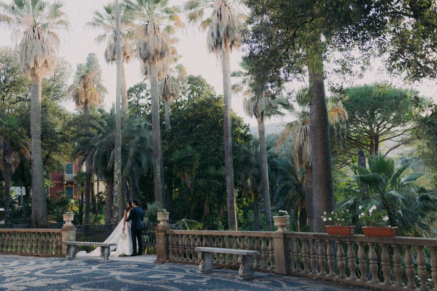Palm trees line a winding pathway through a lush tropical garden with wooden railings and benches.