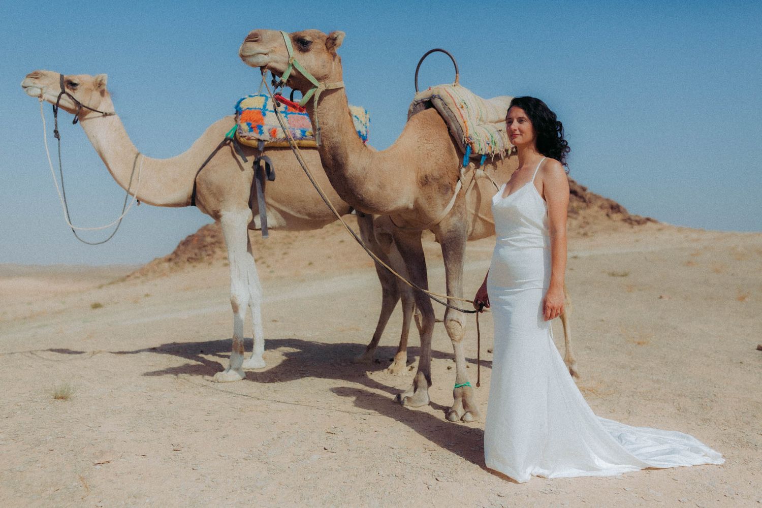 A series of desert wedding photos showing a bride in a white dress posing with camels against sandy dunes and blue sky.