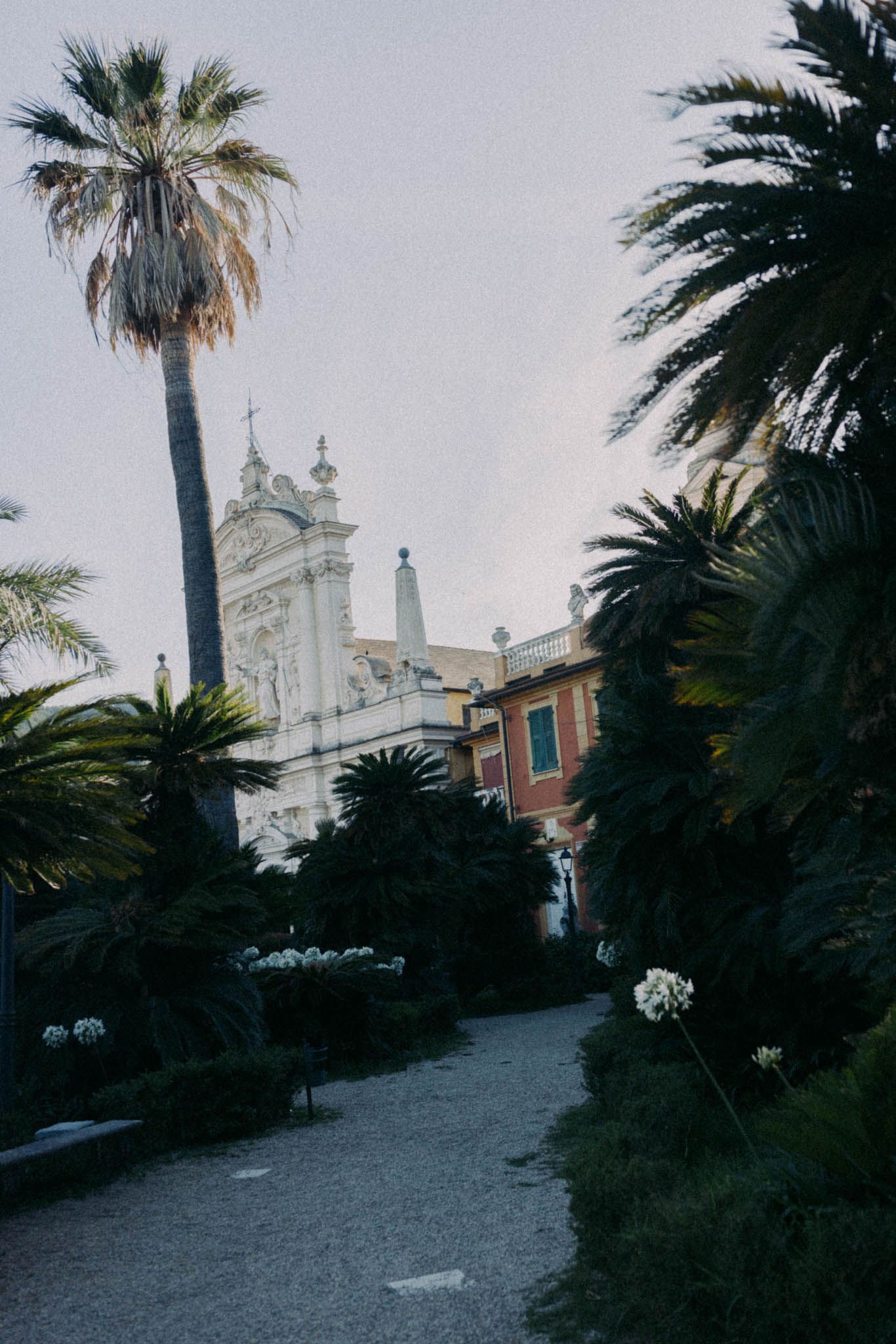 White church steeples rise above palm trees against a moody sky at dusk.