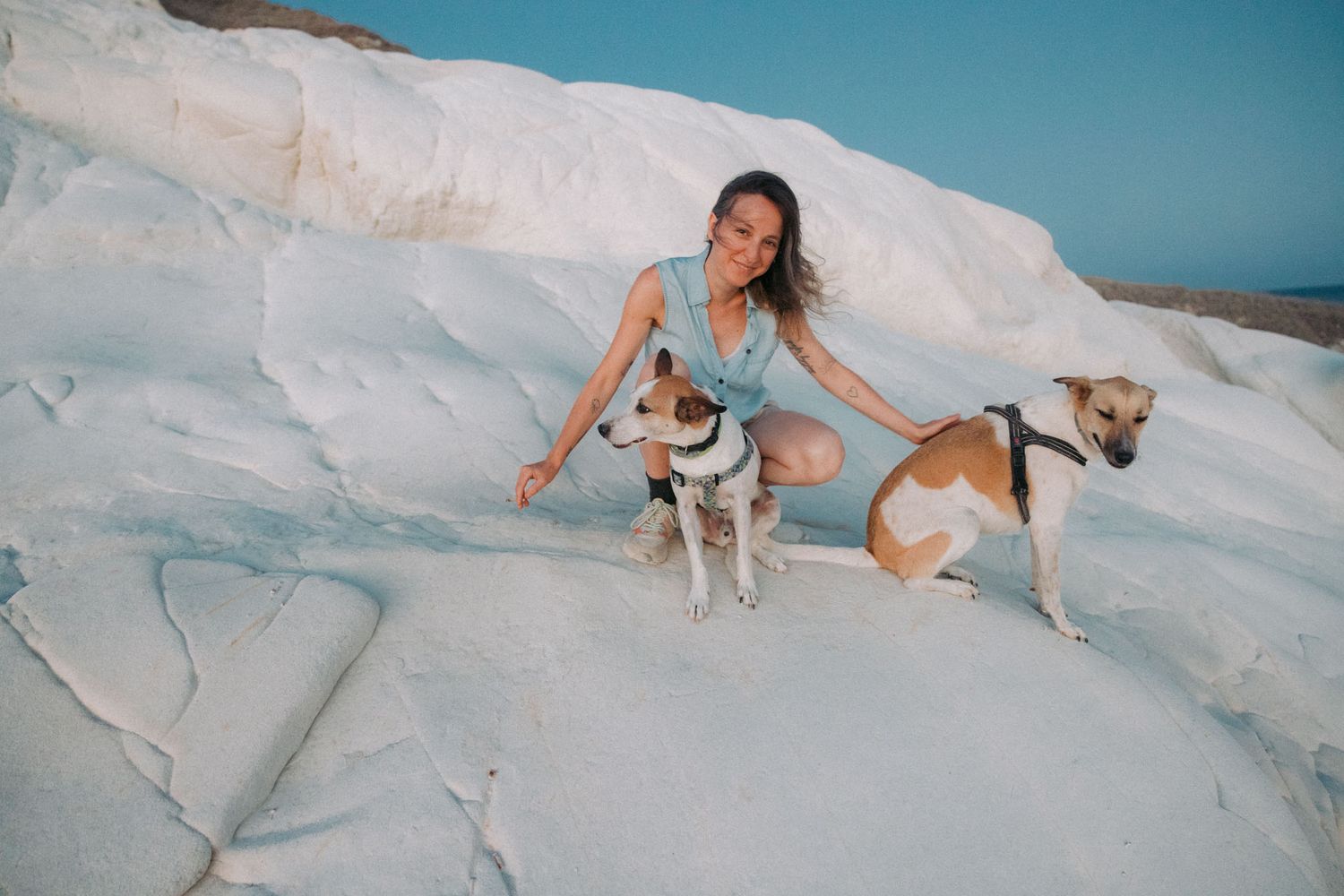 A dog and person play together on a white sandy beach during a sunny afternoon.