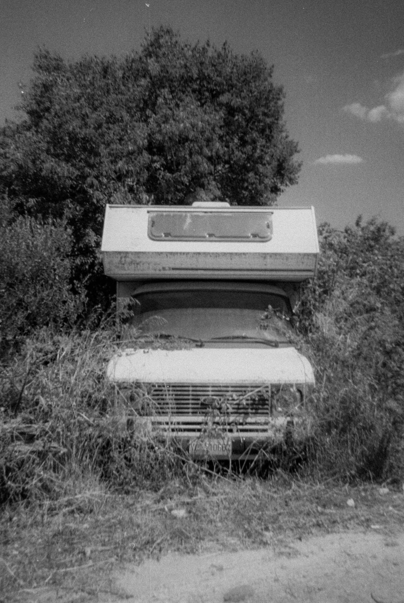 A series of black and white photographs showing an abandoned vintage car hidden in overgrown vegetation.