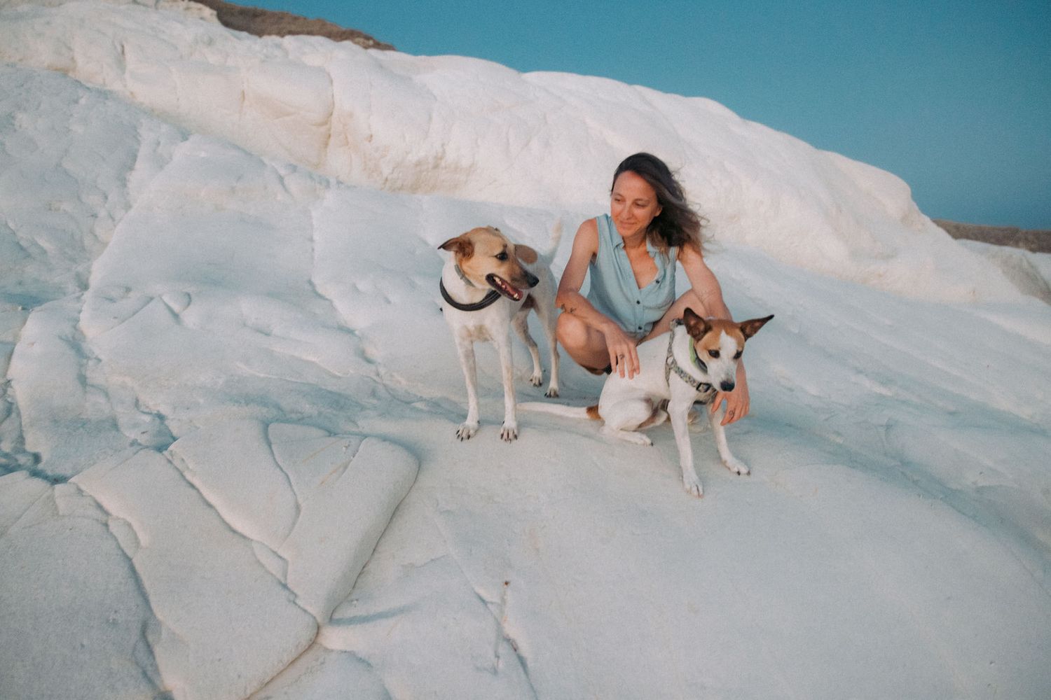 White sand dunes with small dogs playing against bright blue sky background.