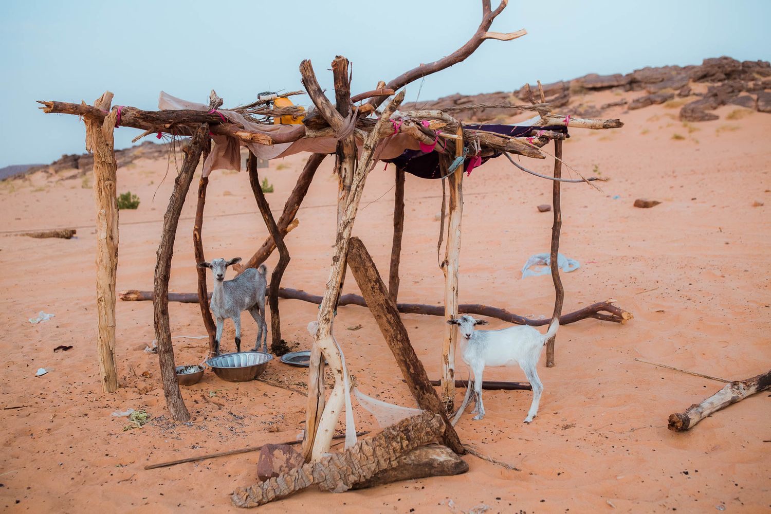 Simple wooden shelter structure made from branches in desert setting.