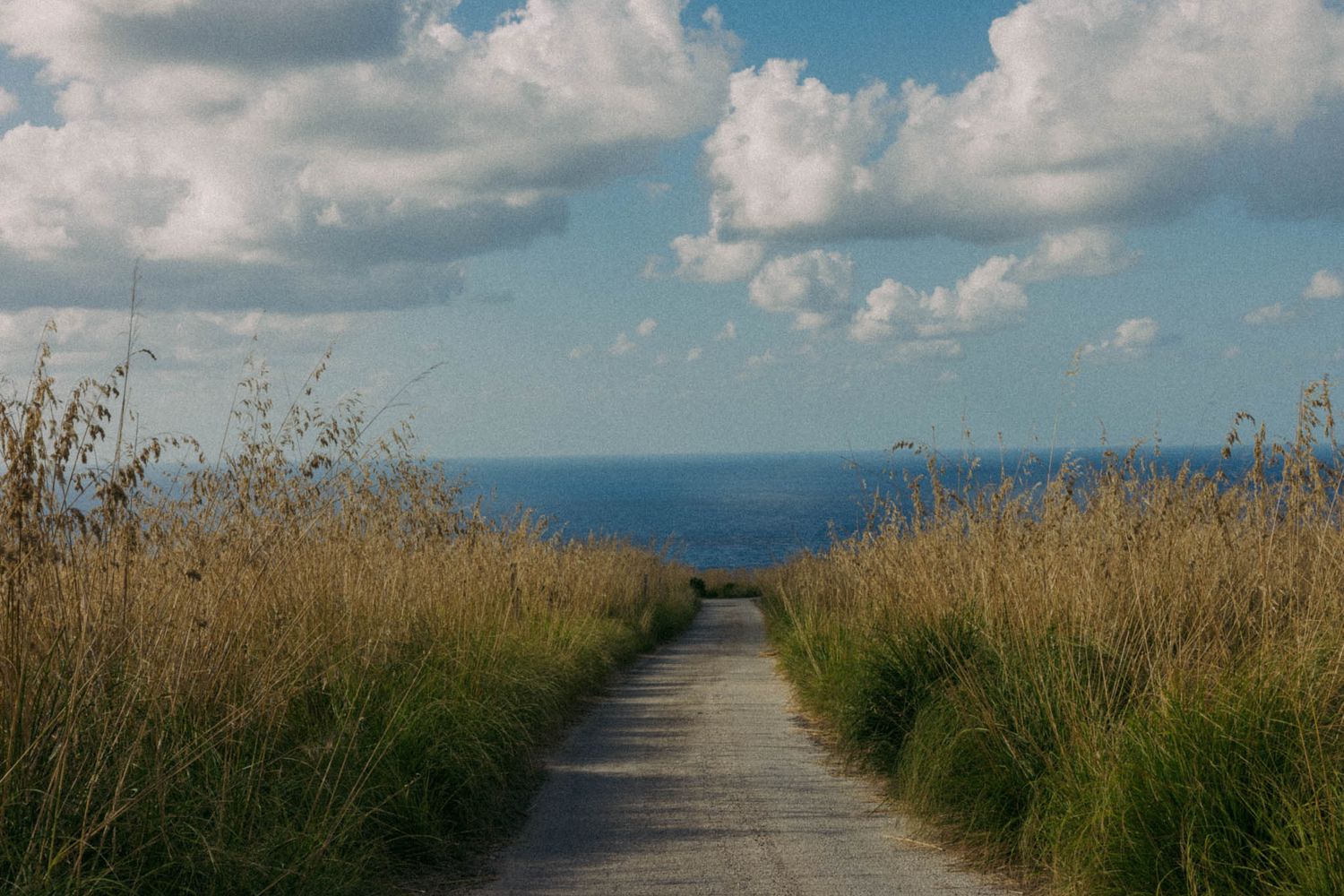 A winding gravel path leads through tall golden grass towards a cloudy blue horizon over the ocean.