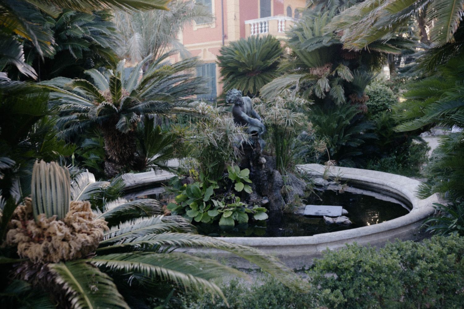 Winding garden path surrounded by tropical palm trees and exotic plants in a Mediterranean setting.