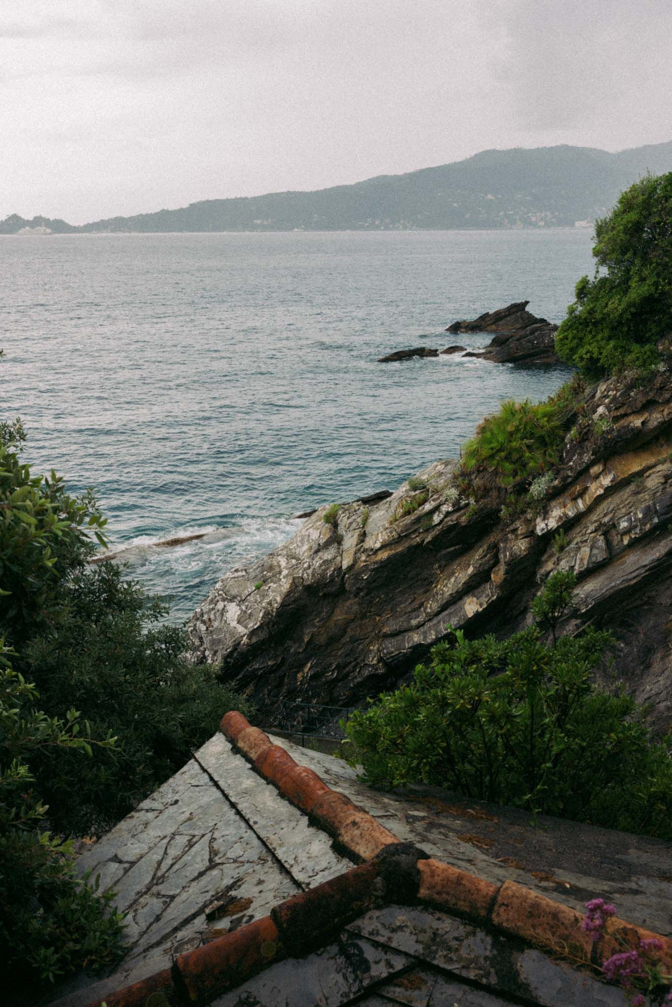 A scenic coastal trail along rocky cliffs with fallen logs and ocean views stretches into the distance.
