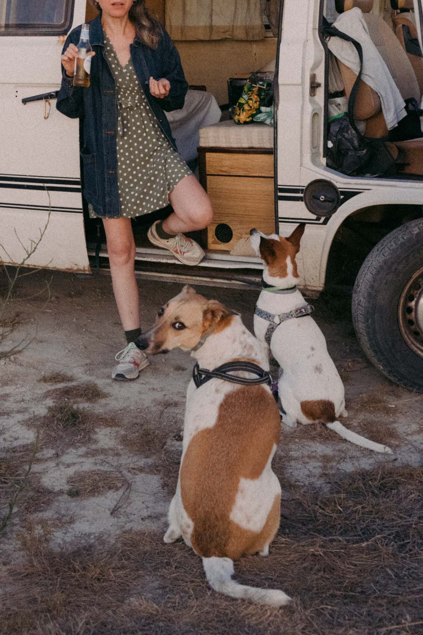 A brown and white dog on a leash stands next to someone wearing a dress and sneakers on a dirt ground.
