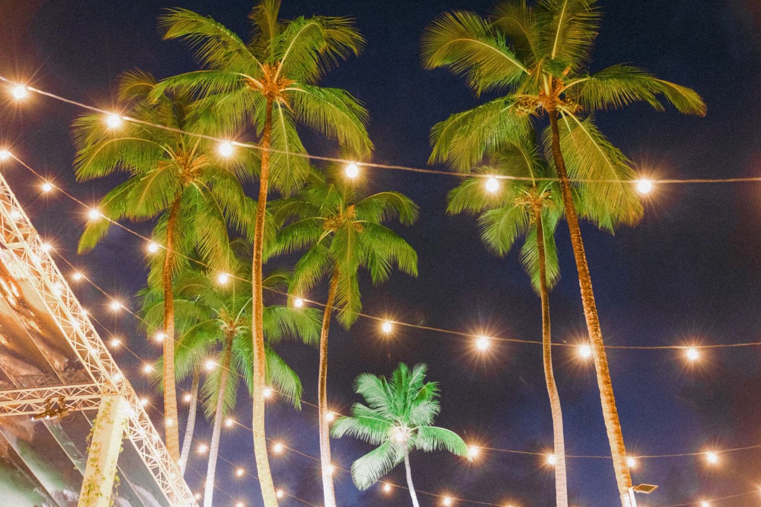 String lights illuminate tropical palm trees against a dark night sky creating a magical outdoor ambiance.