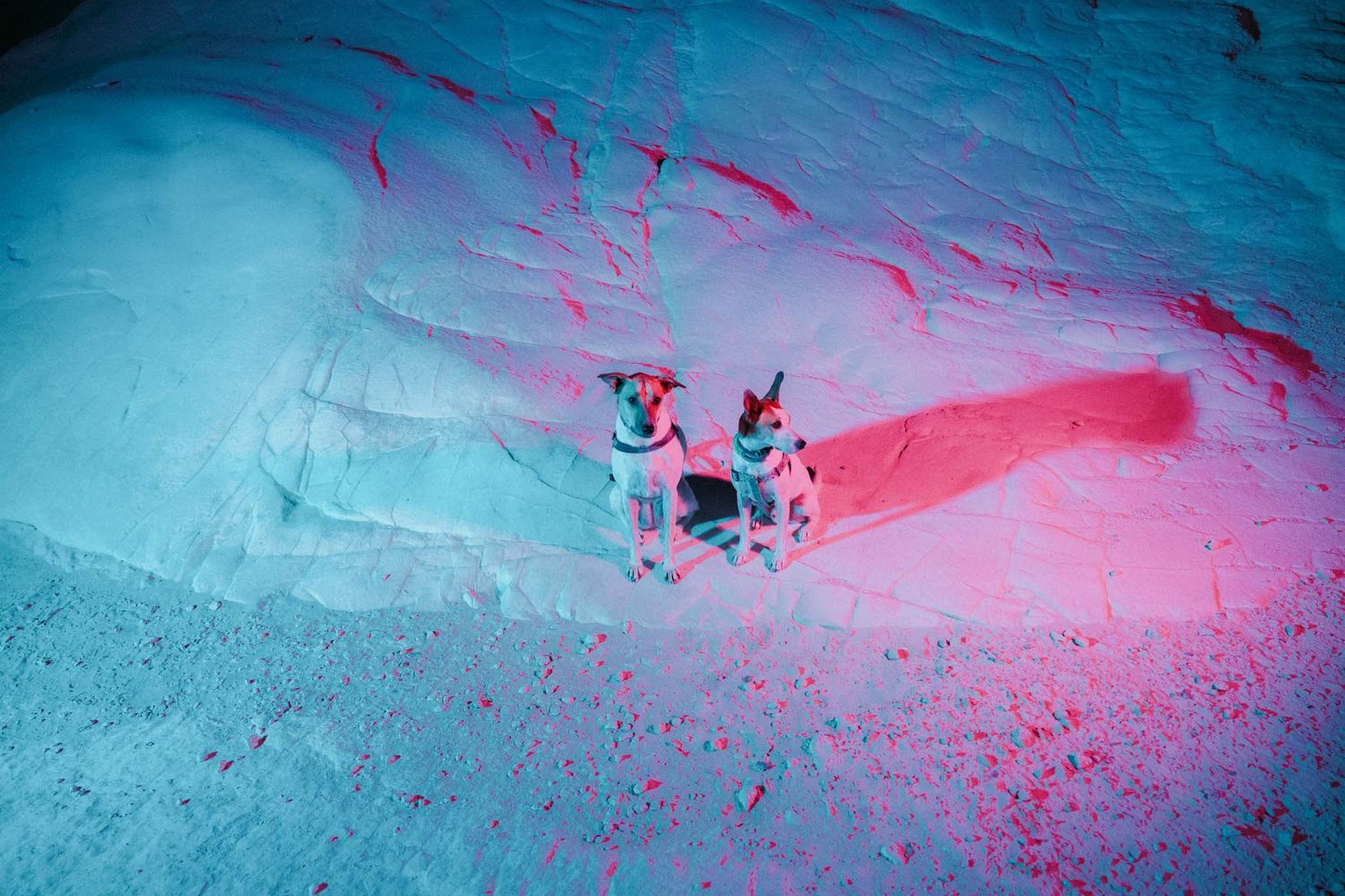 Bright pink and blue abstract aerial patterns created by snow and ice formations in a winter landscape.