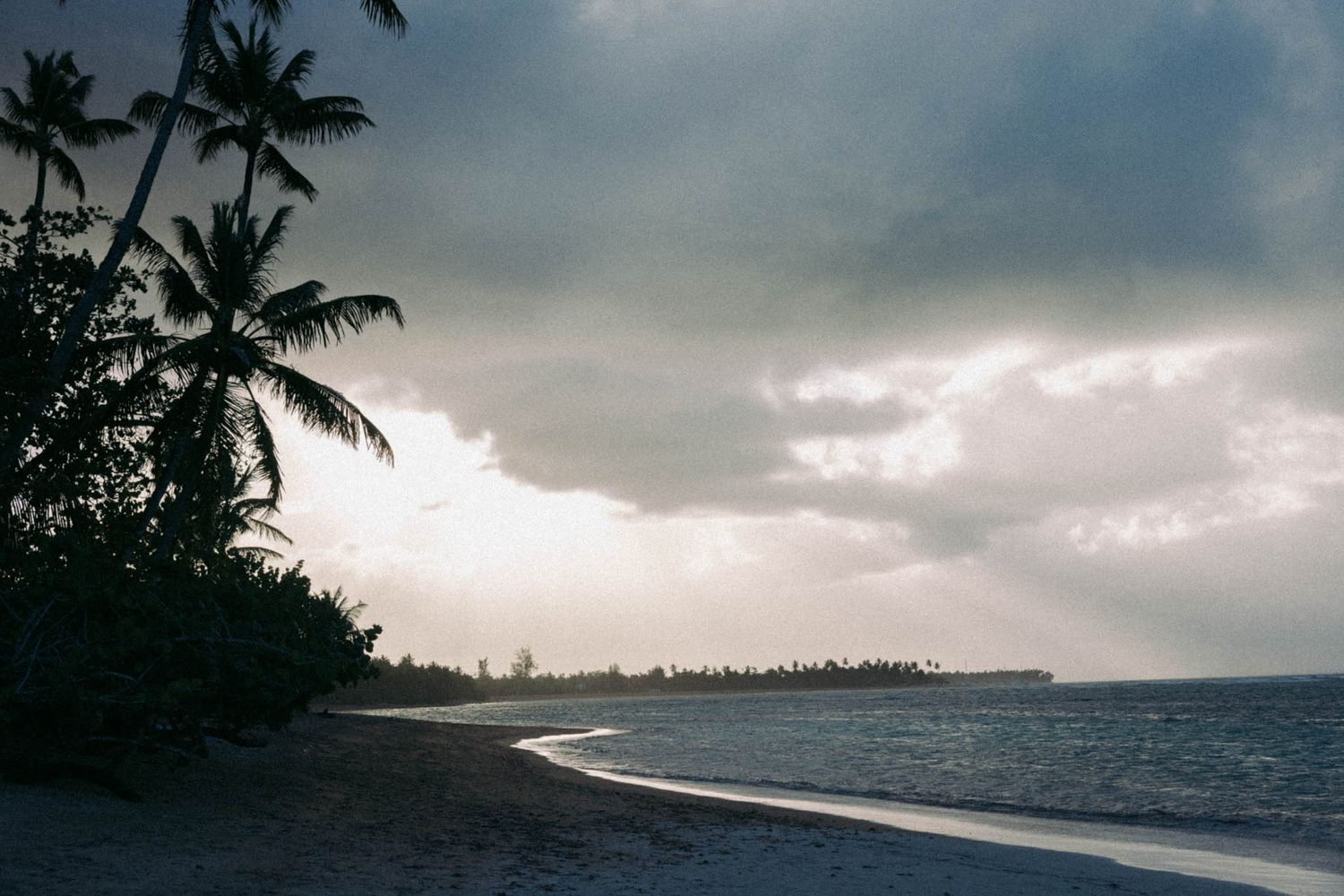 A series of panoramic tropical beach views with palm trees and dramatic cloudy skies over the ocean.