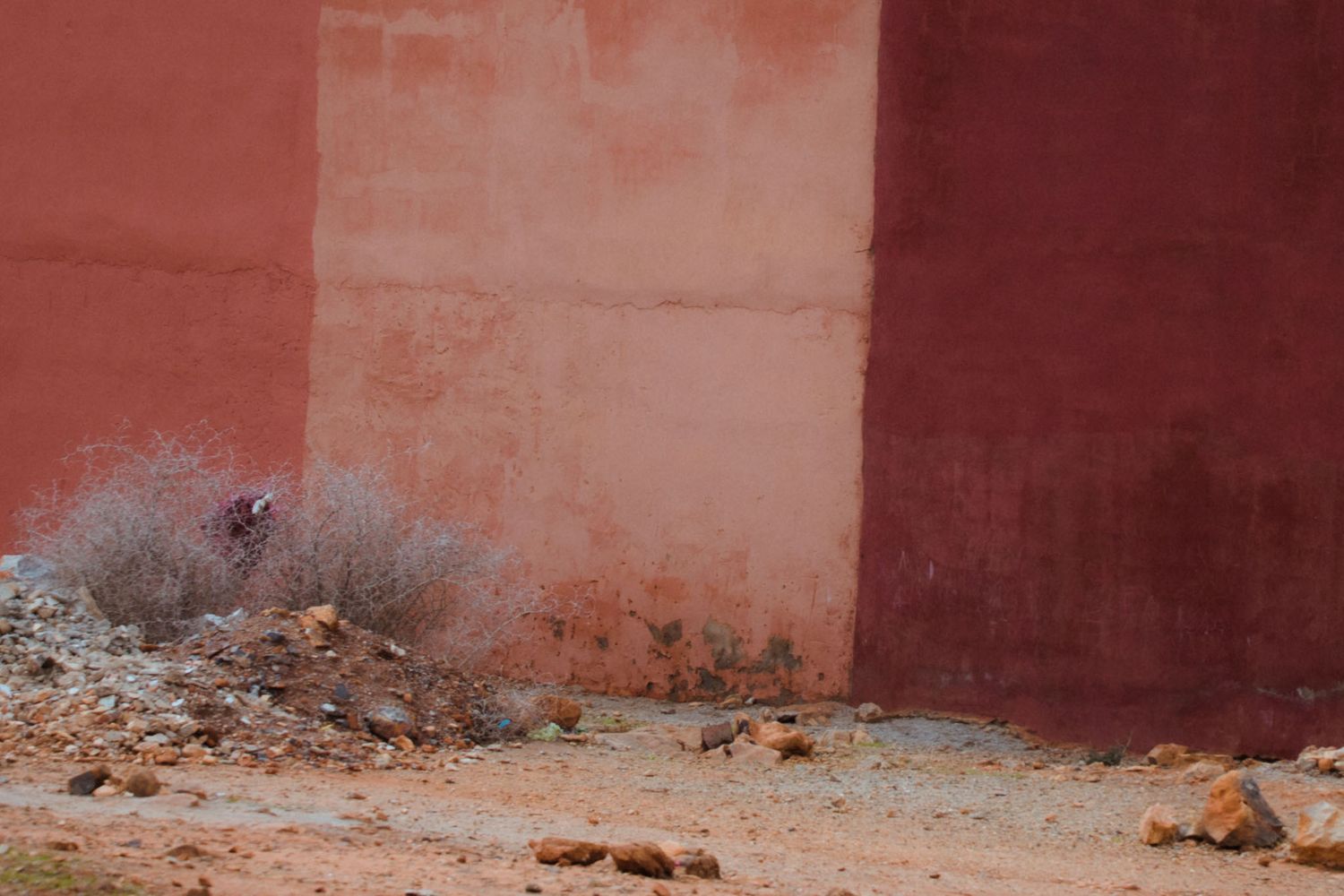A rustic terracotta wall with weathered texture and peeling paint creates an aged architectural backdrop.