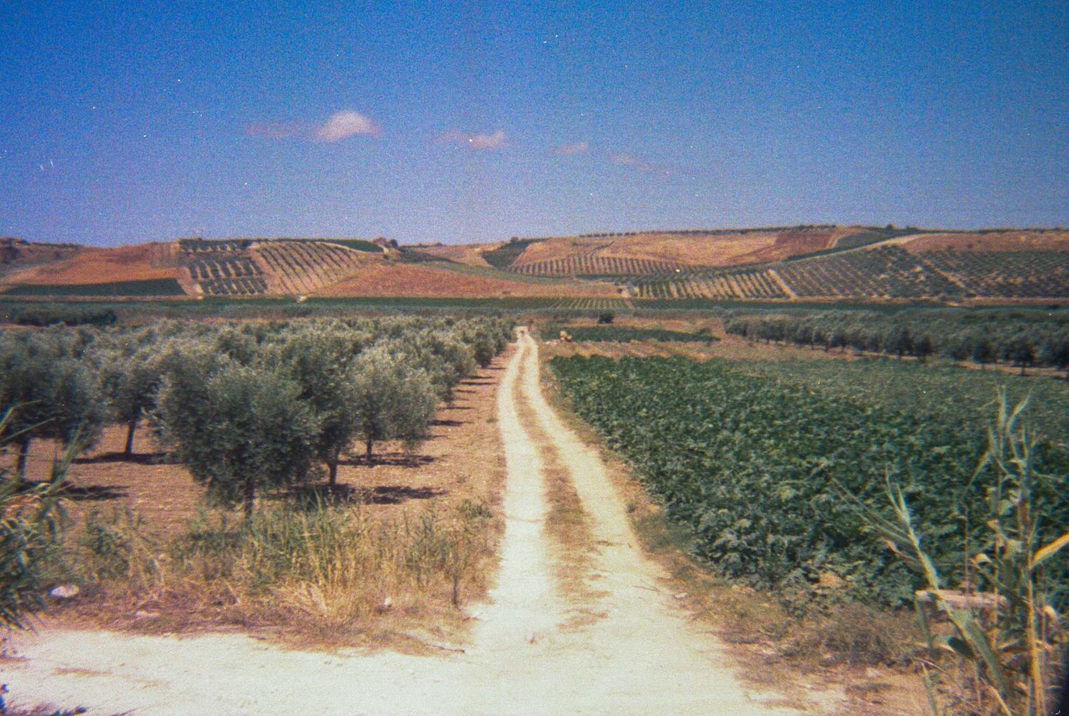 A dusty dirt road stretches through a rural agricultural landscape with fields and rolling hills in the distance.